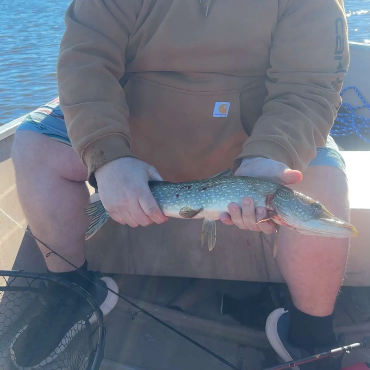 Northern pike caught on Fishbrain