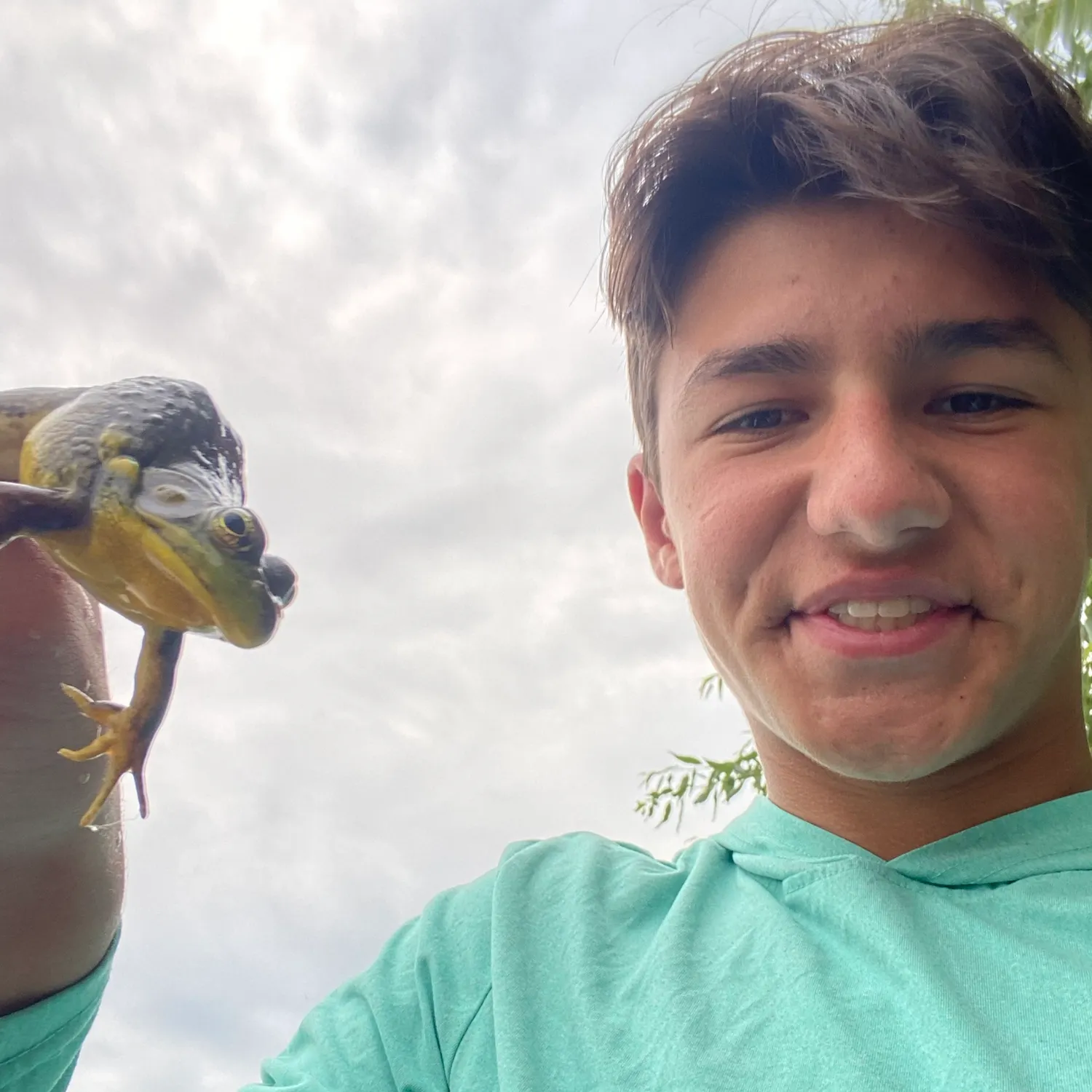 The most recent American bullfrog catches on Fishbrain