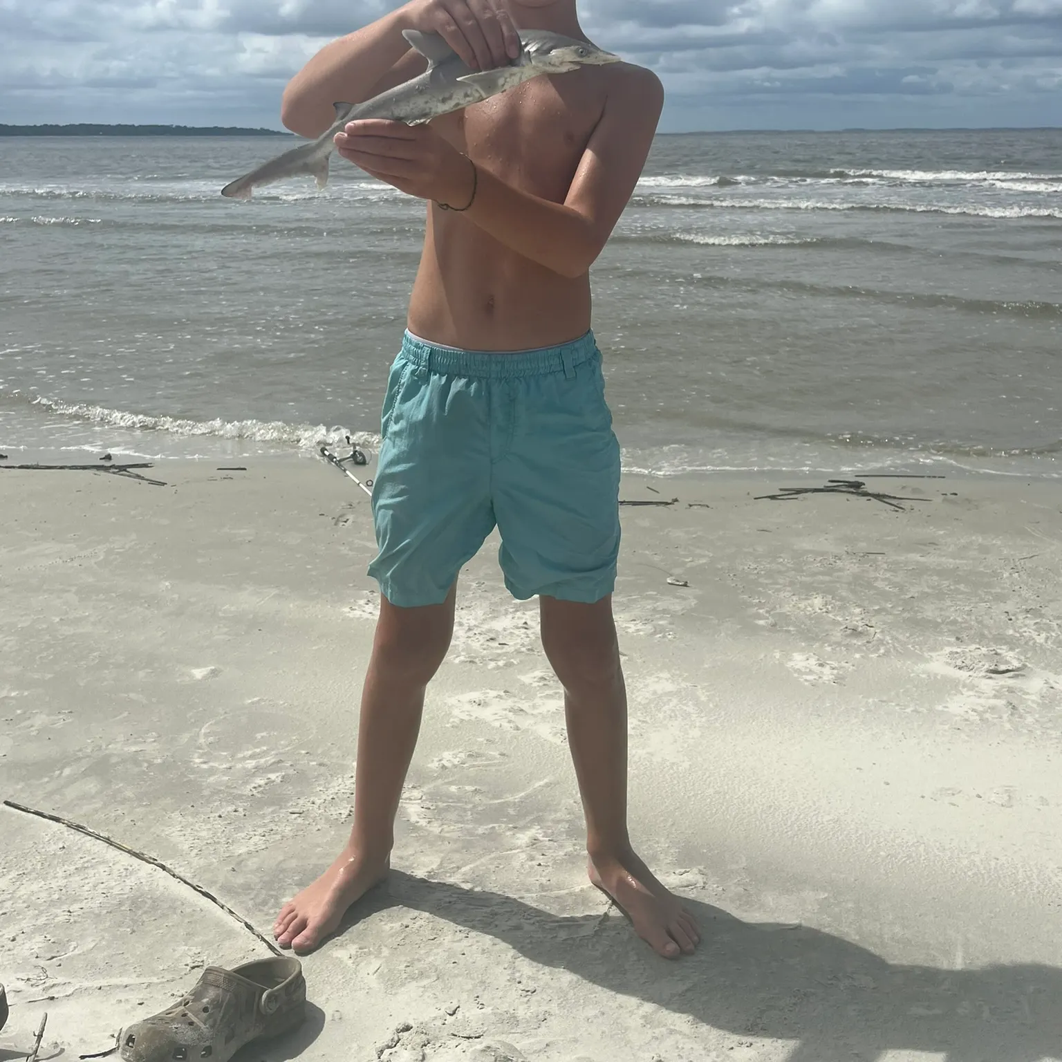 The most recent Scalloped hammerhead shark catches on Fishbrain