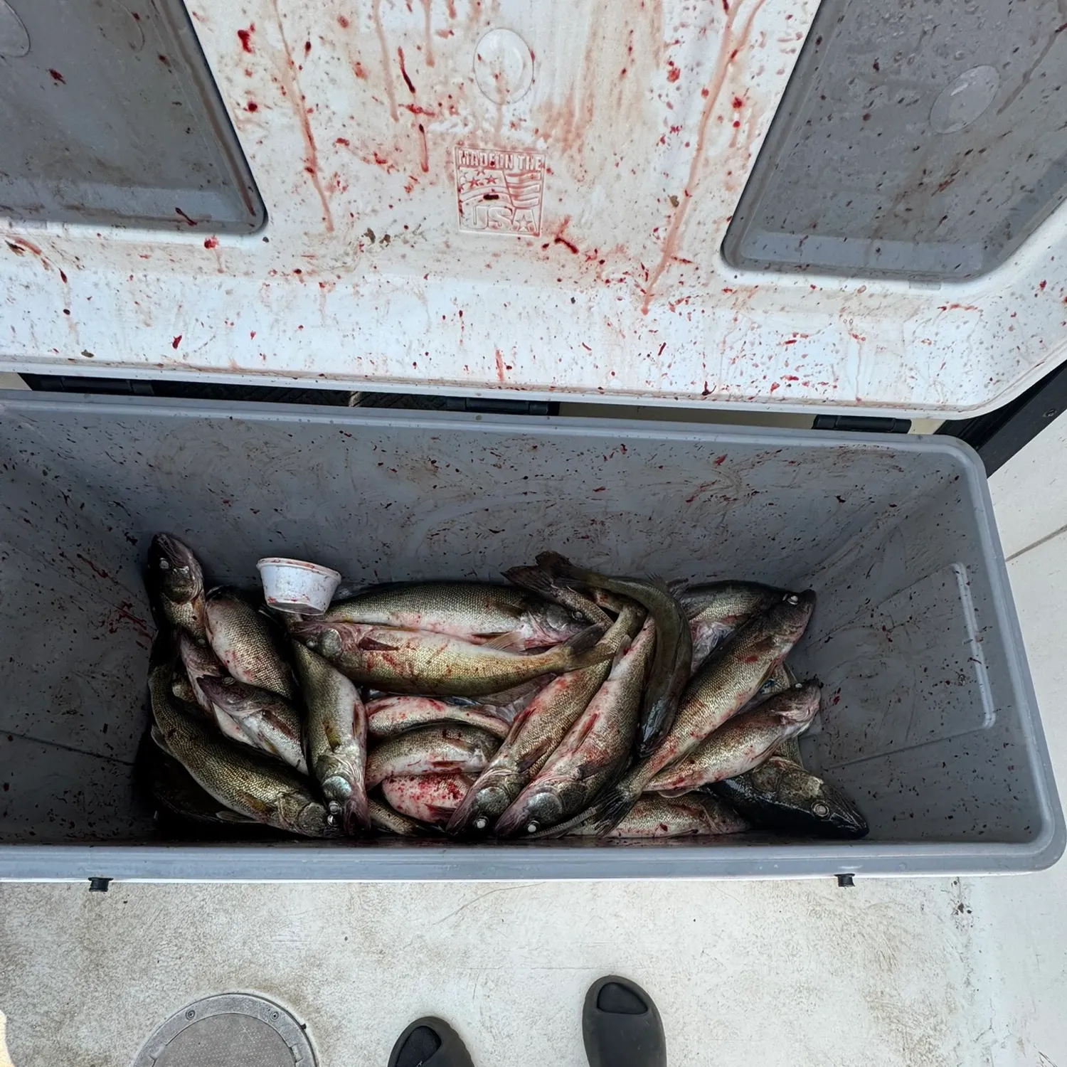 catch