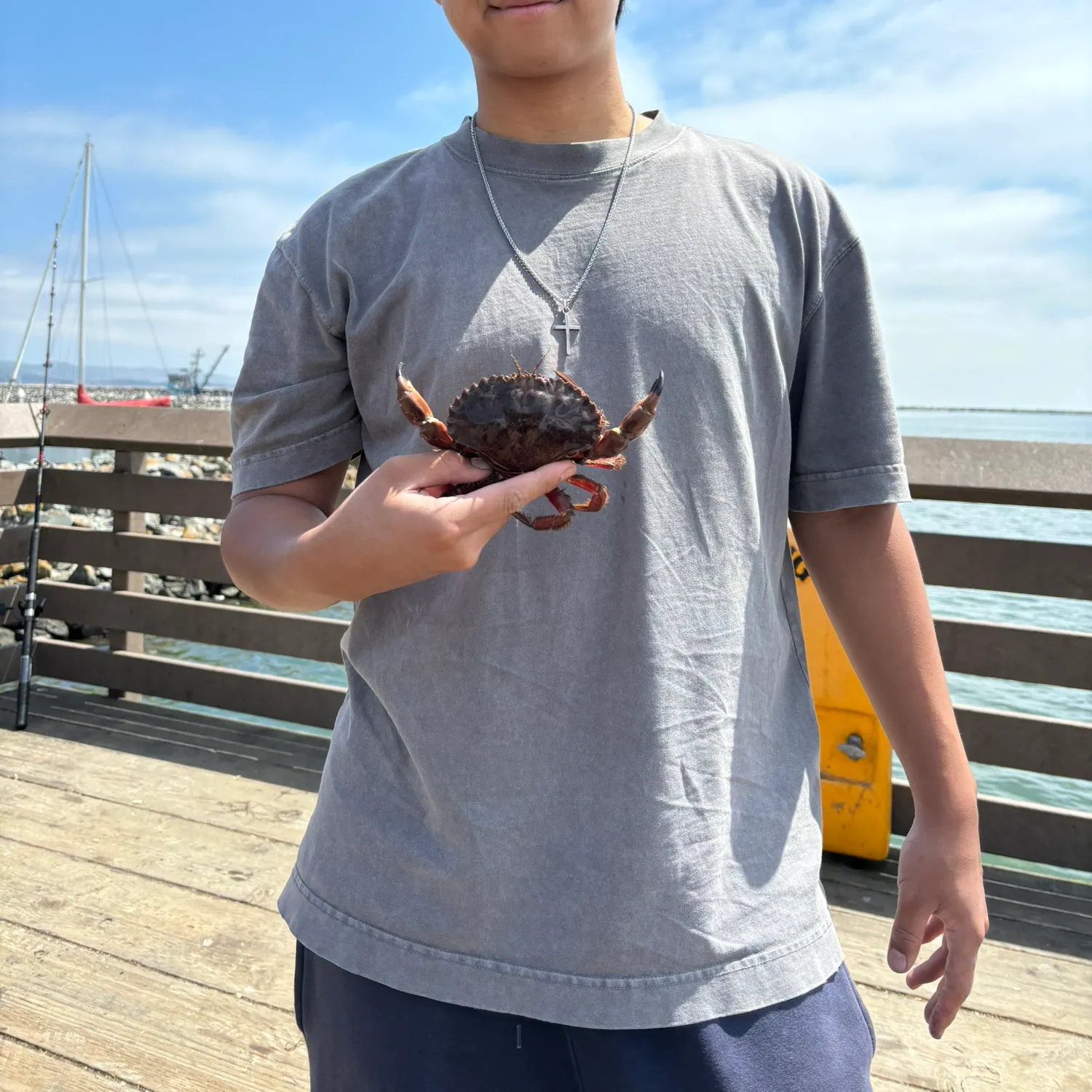 The most recent Red rock crab catches on Fishbrain