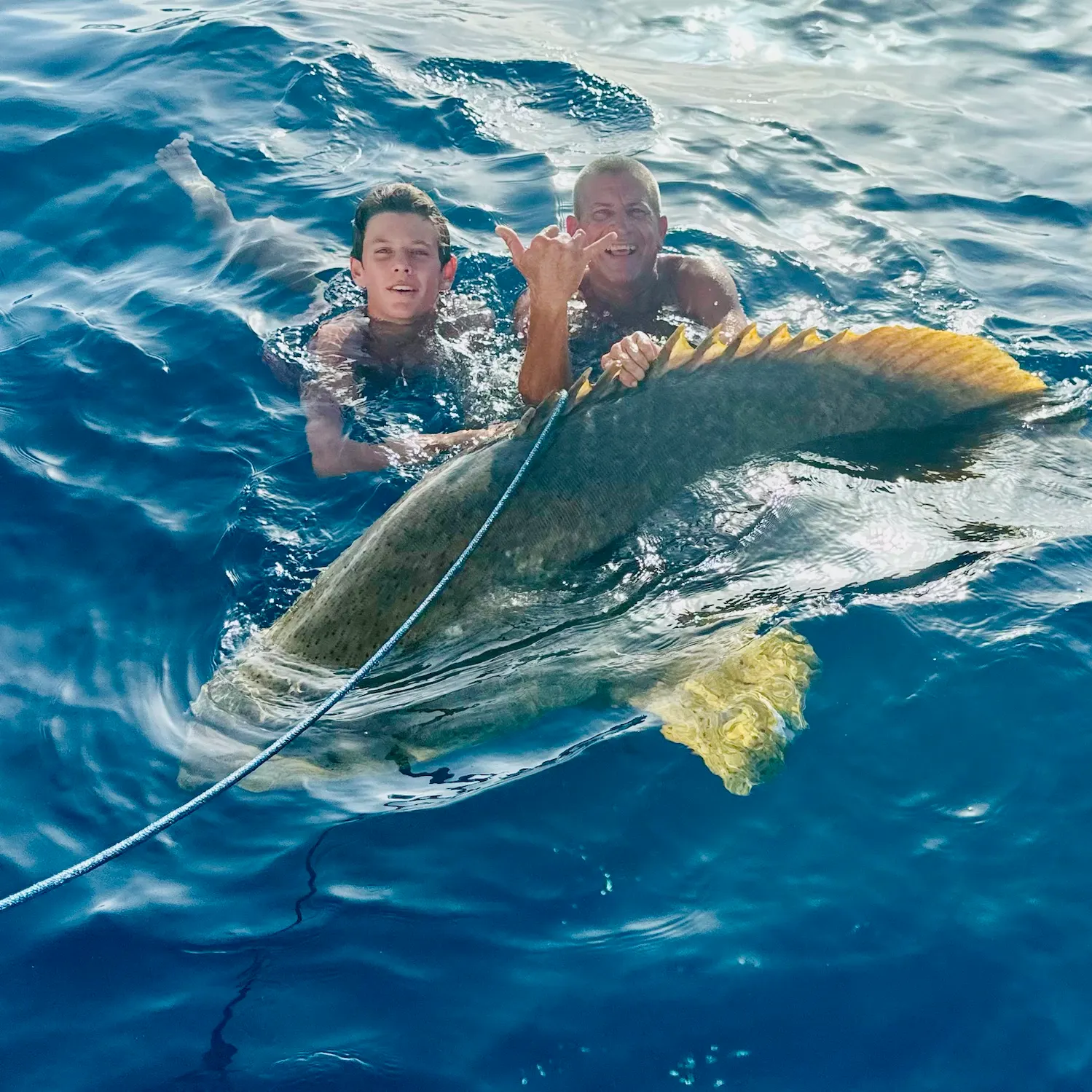 Atlantic goliath grouper caught on Fishbrain