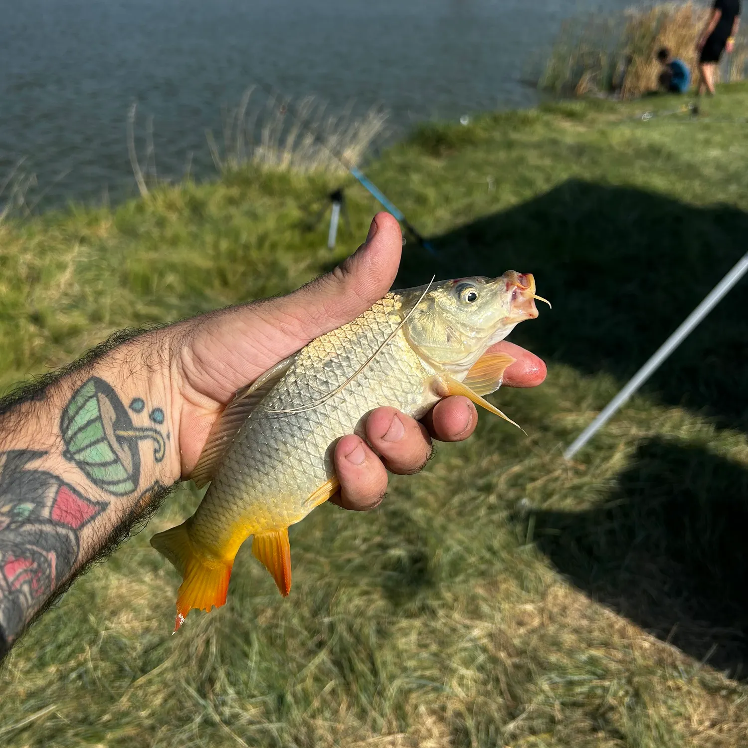 catch
