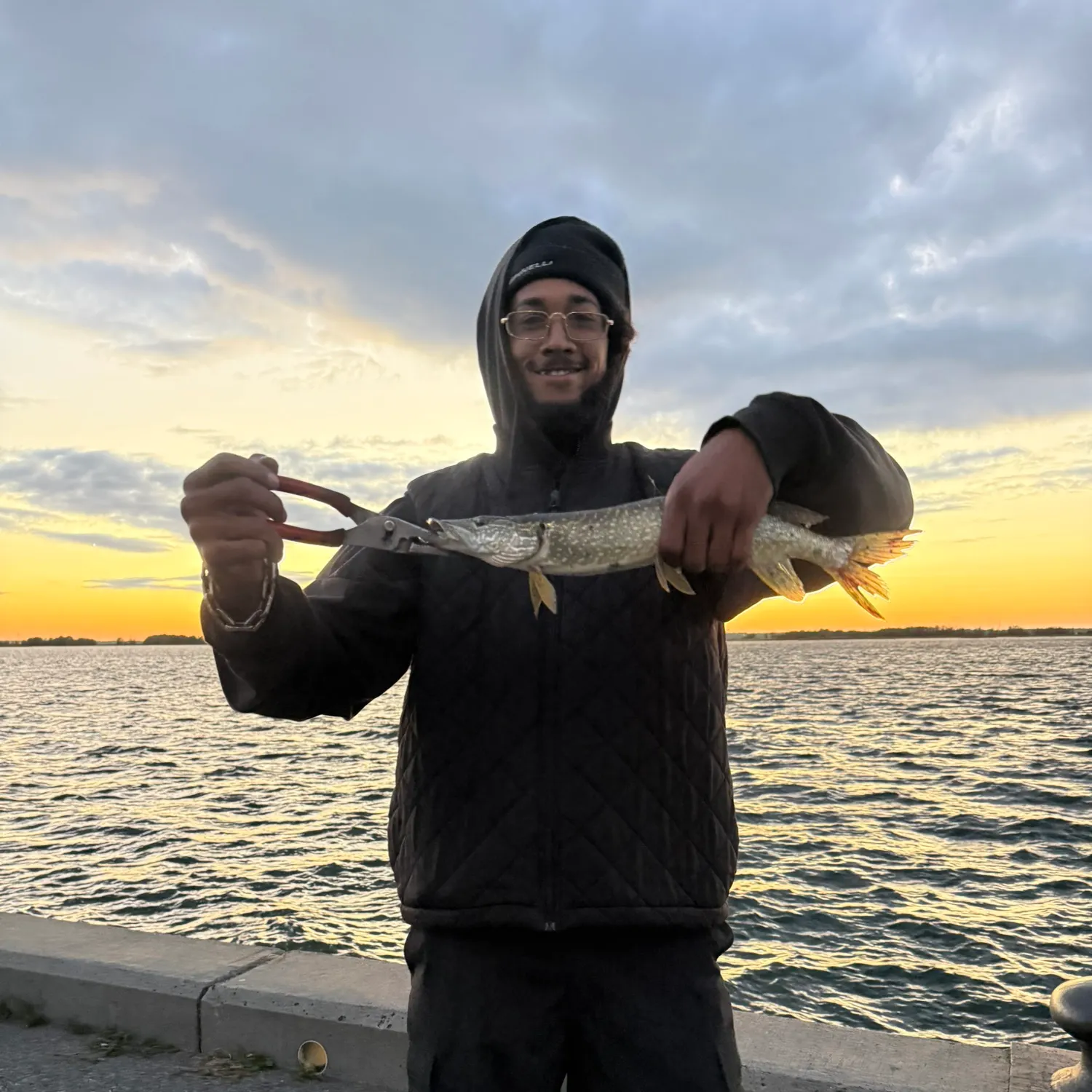 Northern pike caught on Fishbrain