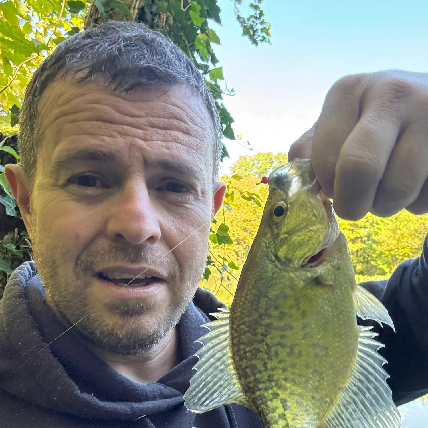 Black crappie caught on Fishbrain