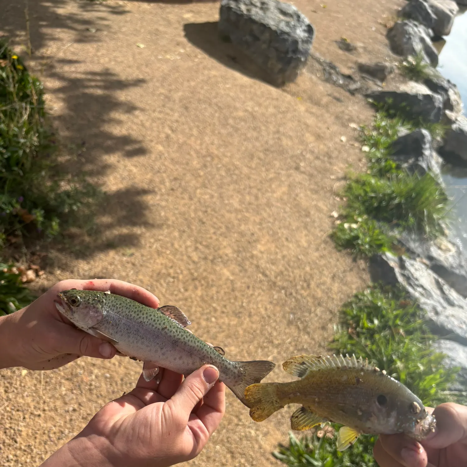 catch
