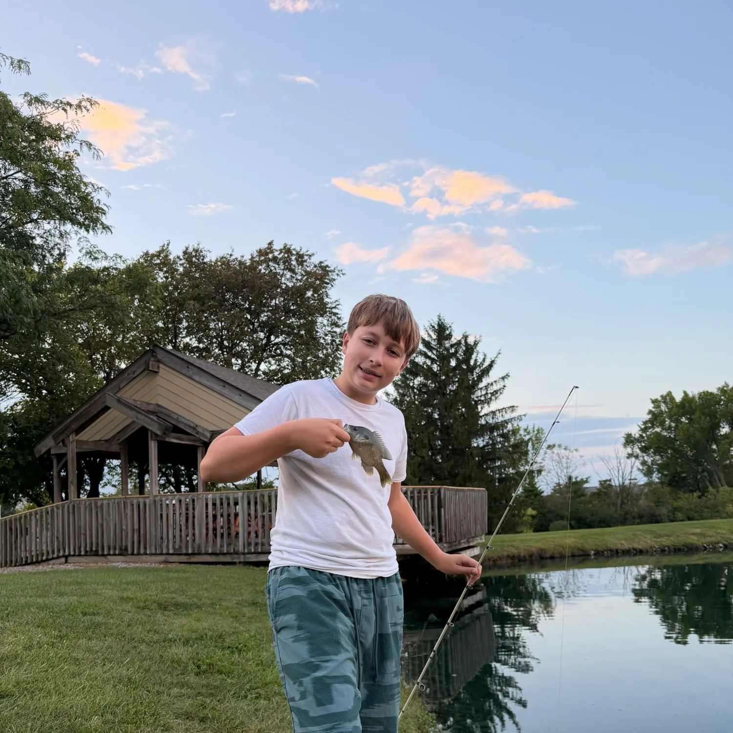 Bluegill caught on Fishbrain