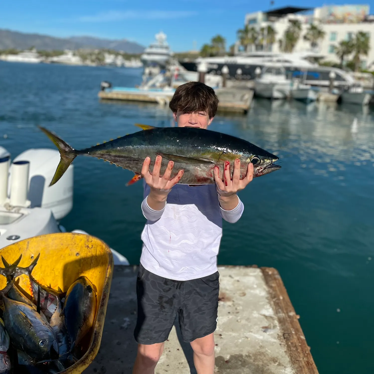 The most recent Yellowfin tuna catches on Fishbrain