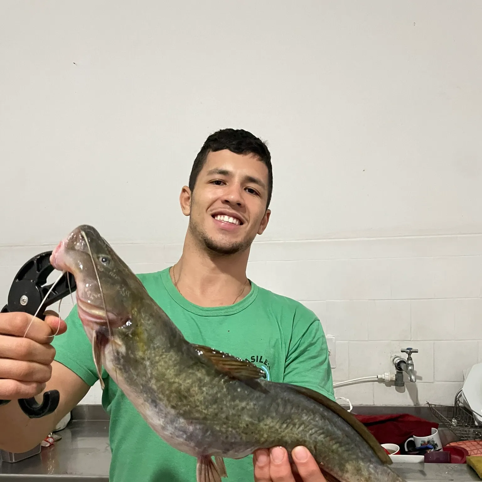 The most recent Pale catfish catches on Fishbrain