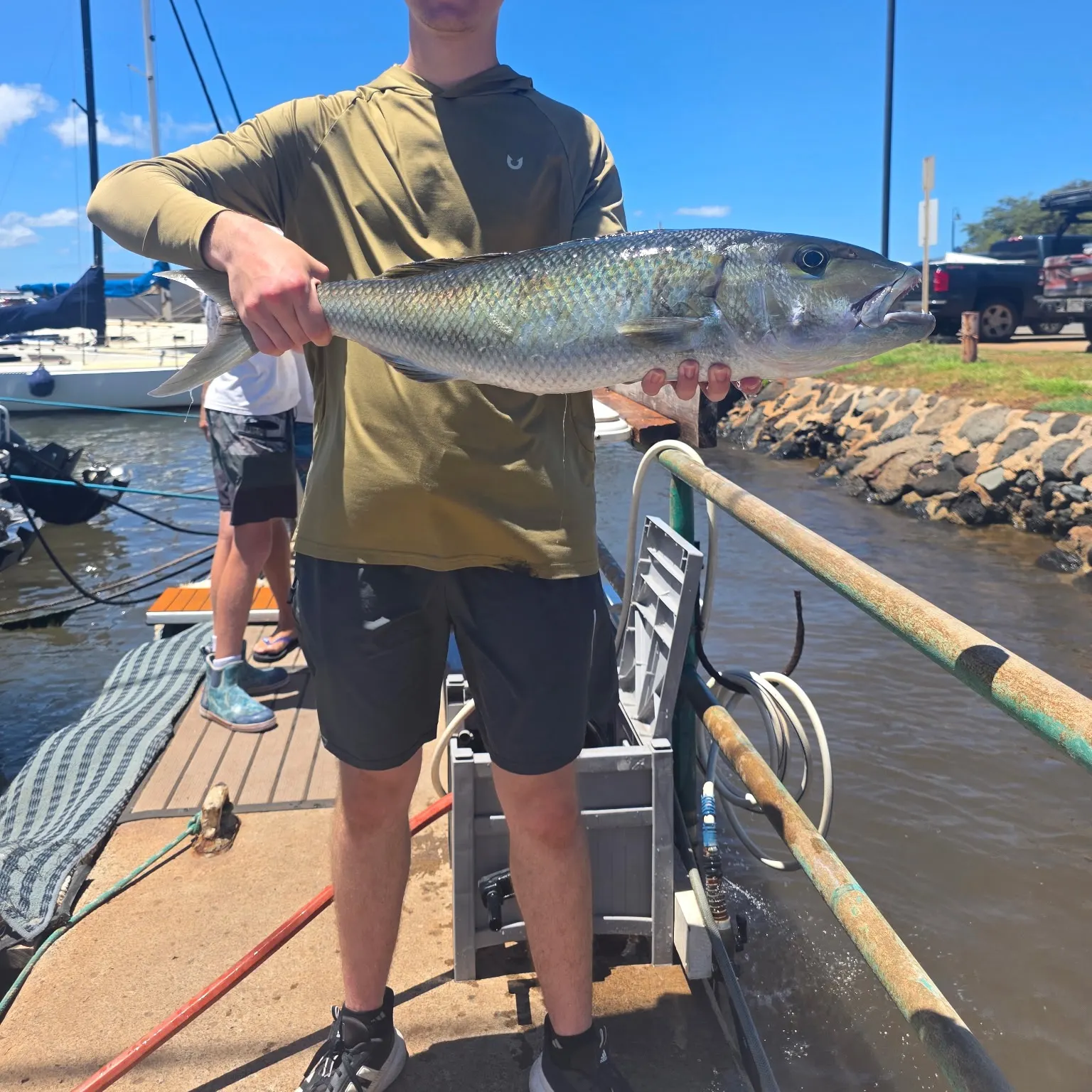 The most recent Green jobfish catches on Fishbrain