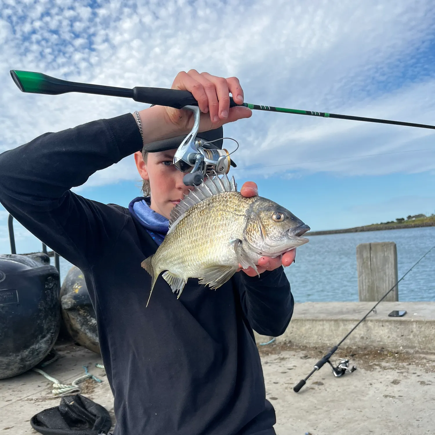 Southern black bream caught on Fishbrain