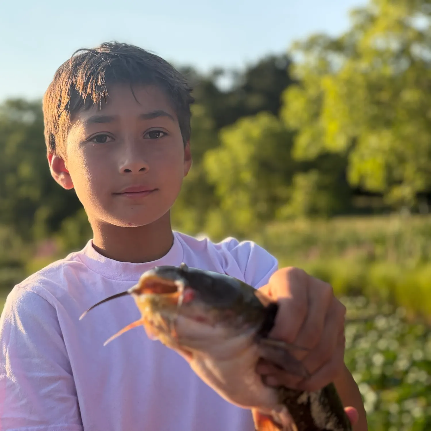 Fish caught on Fishbrain