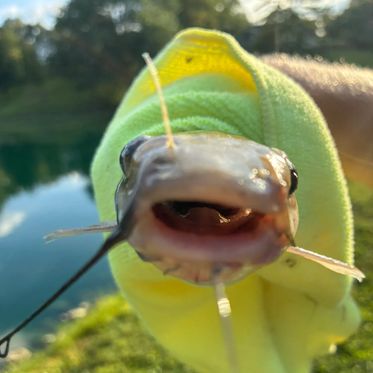 catch