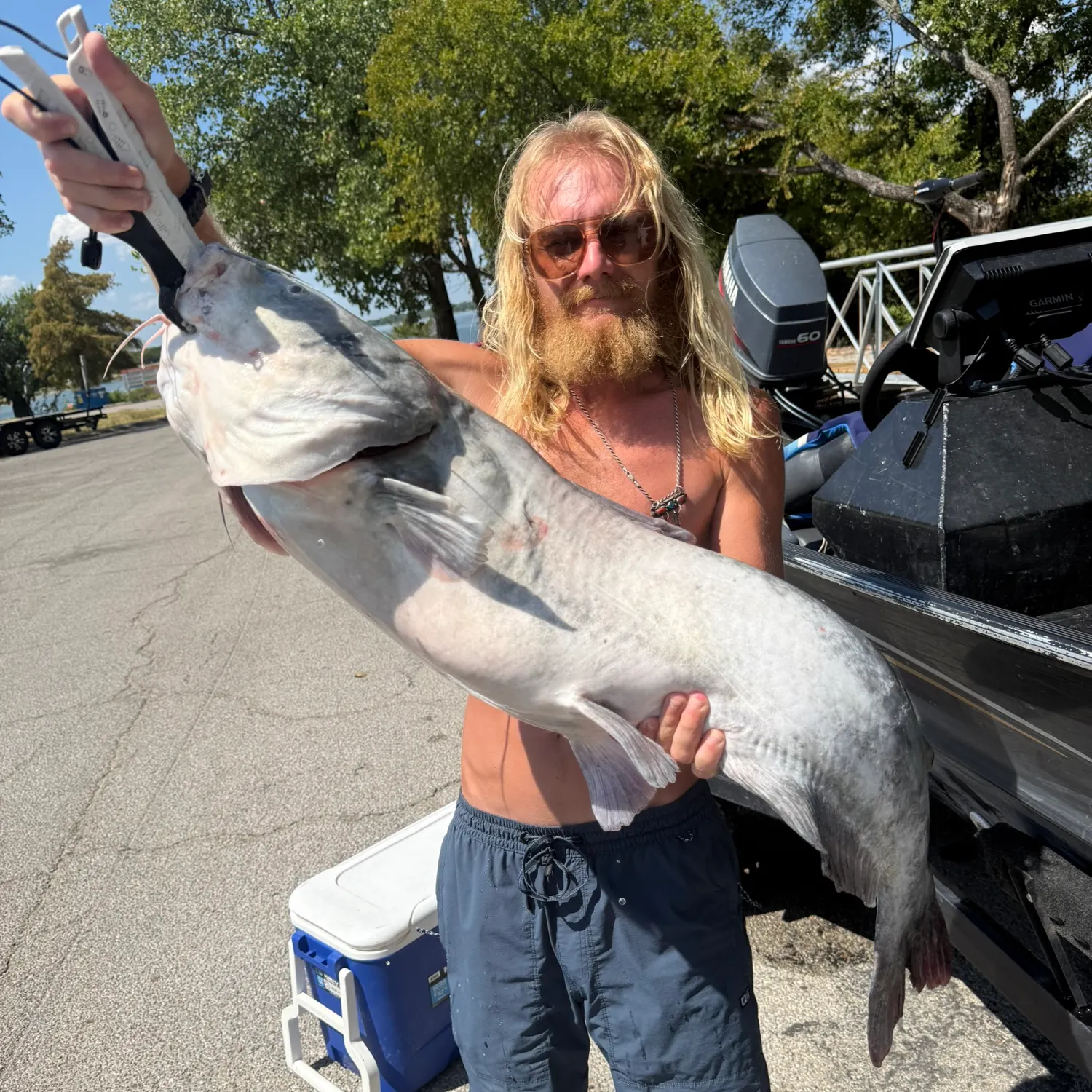 Blue catfish caught on Fishbrain