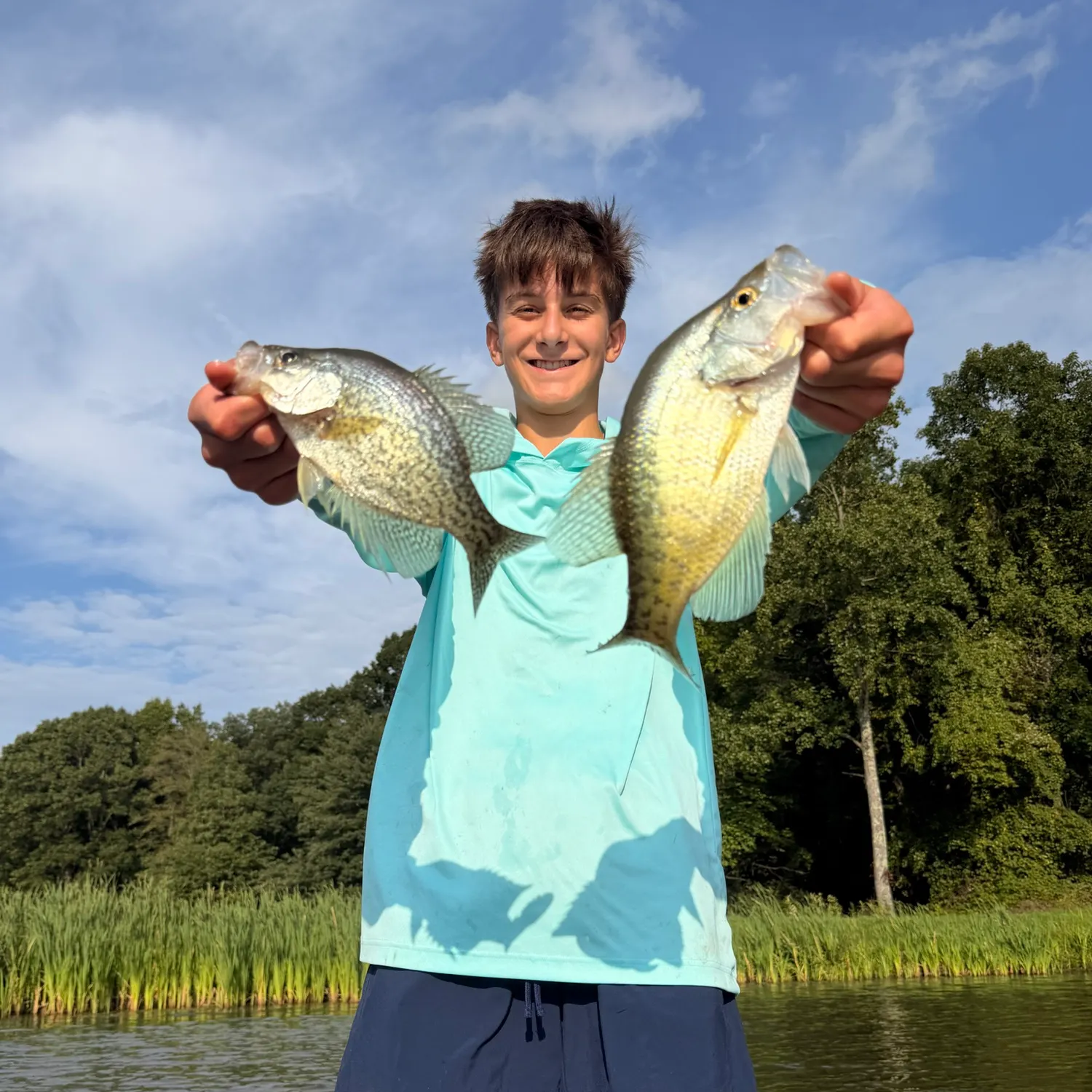 Black crappie caught on Fishbrain