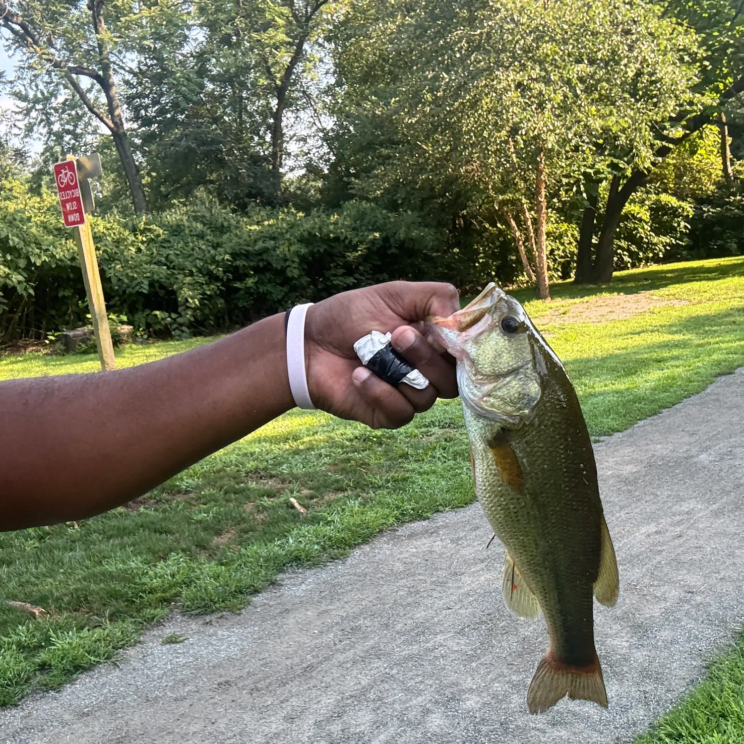 catch