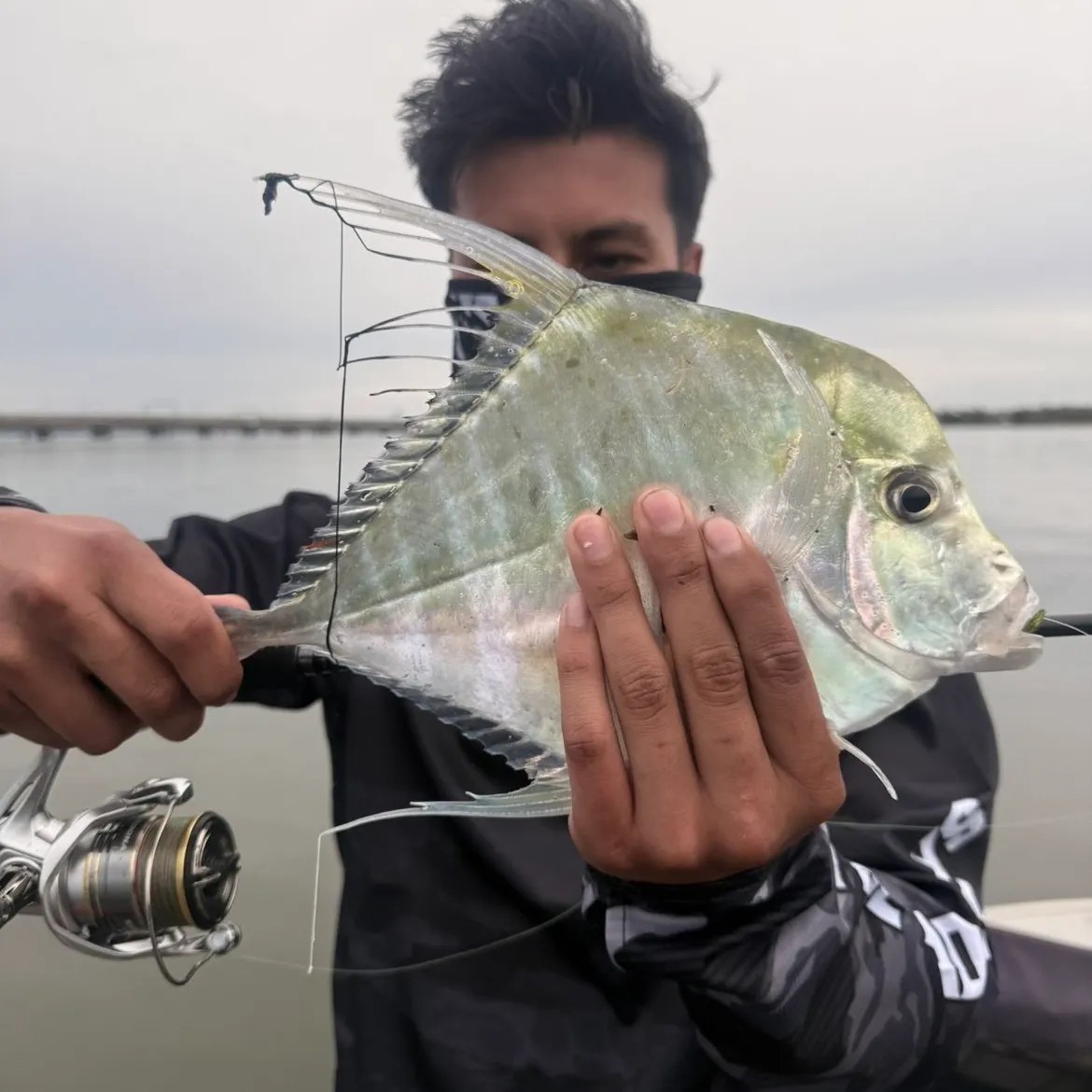 The most recent Indian threadfish catches on Fishbrain
