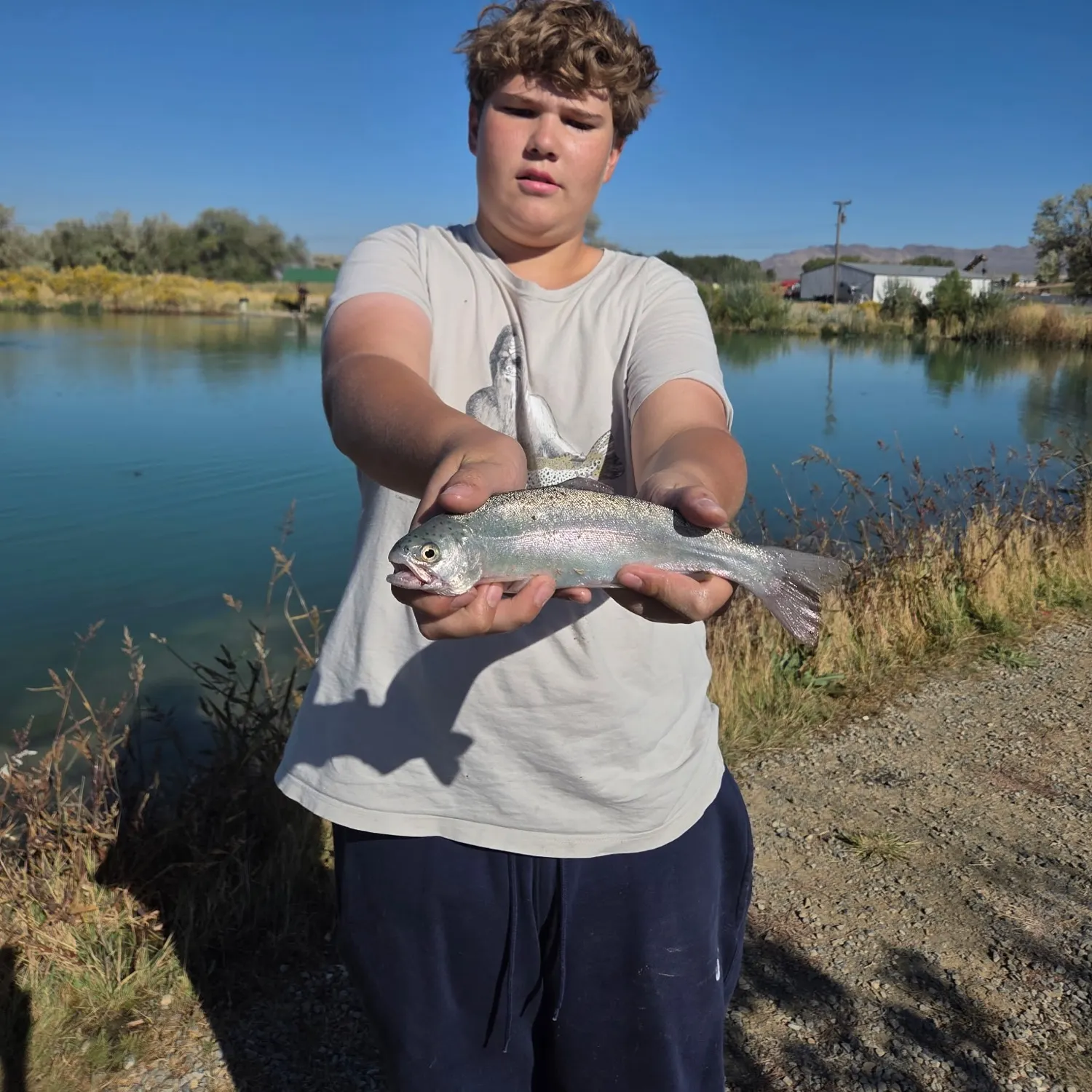 Rainbow trout caught on Fishbrain