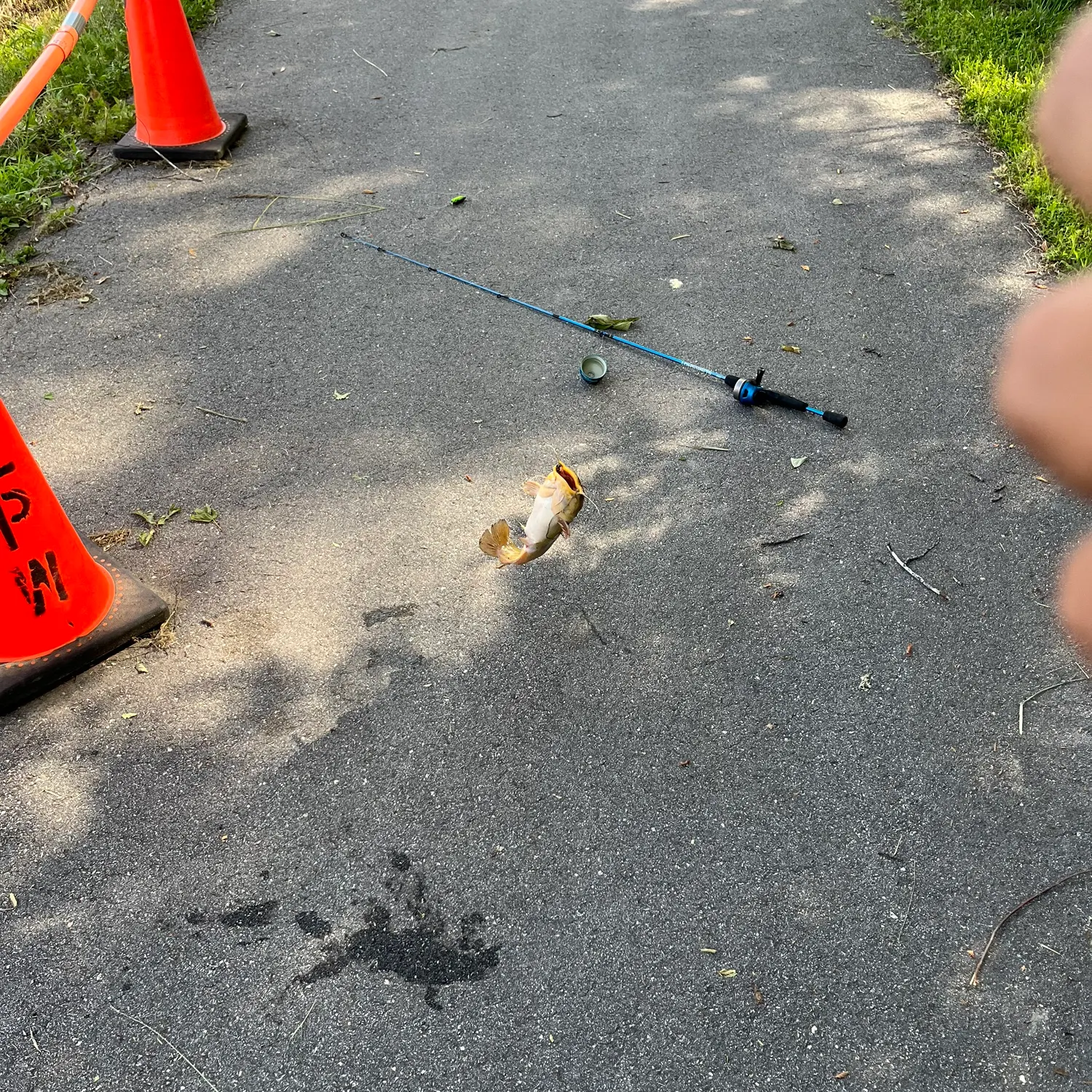 catch