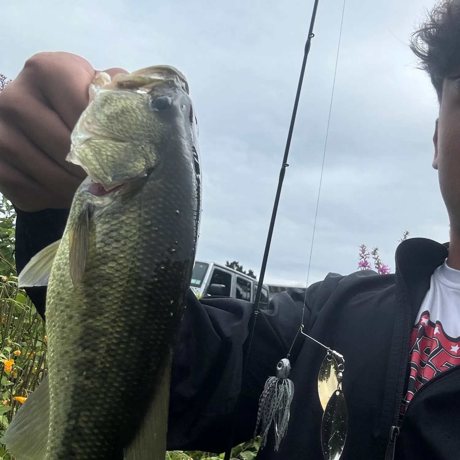Largemouth bass caught on Fishbrain