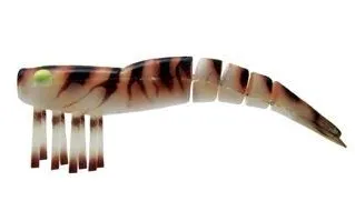Live Shrimp