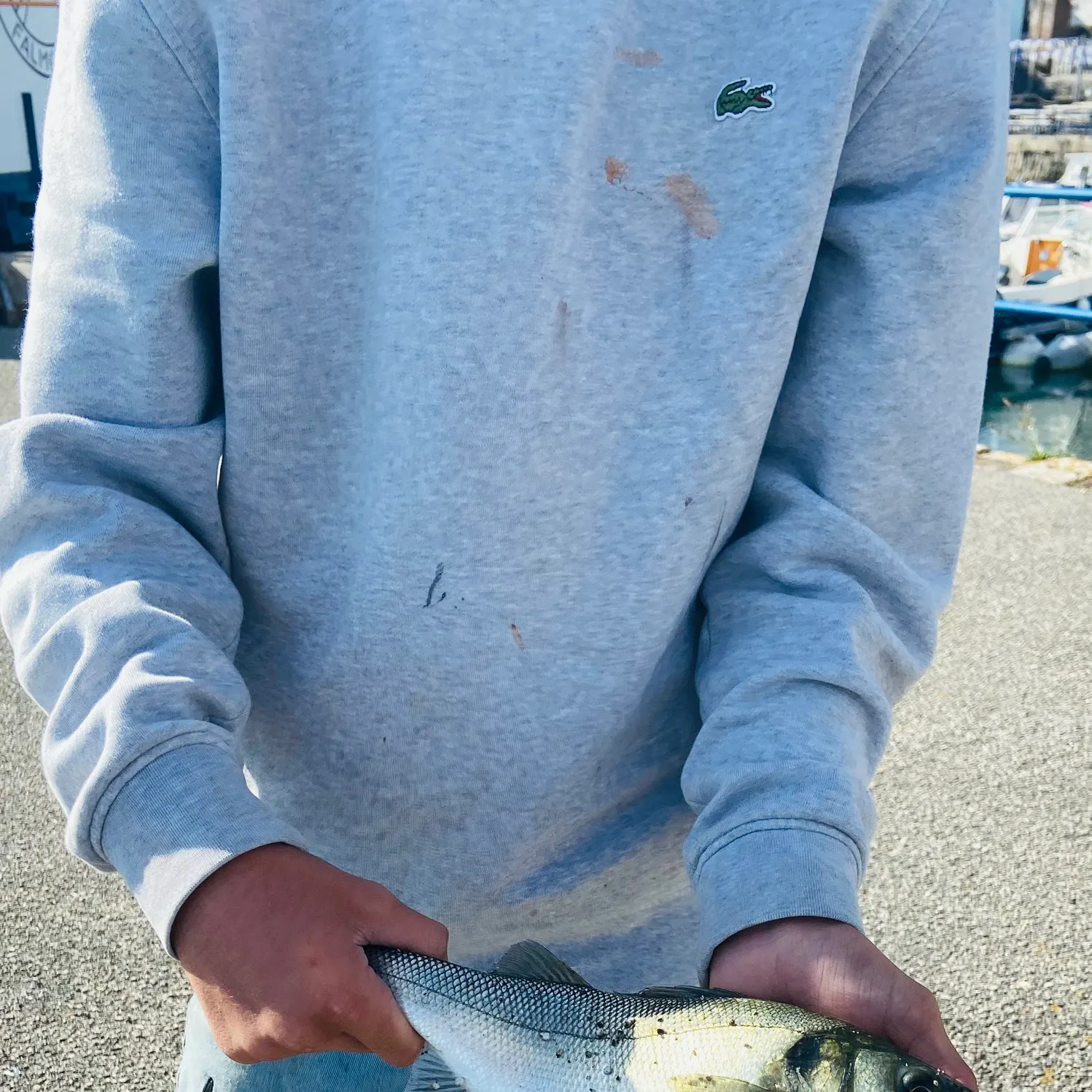 European seabass caught on Fishbrain