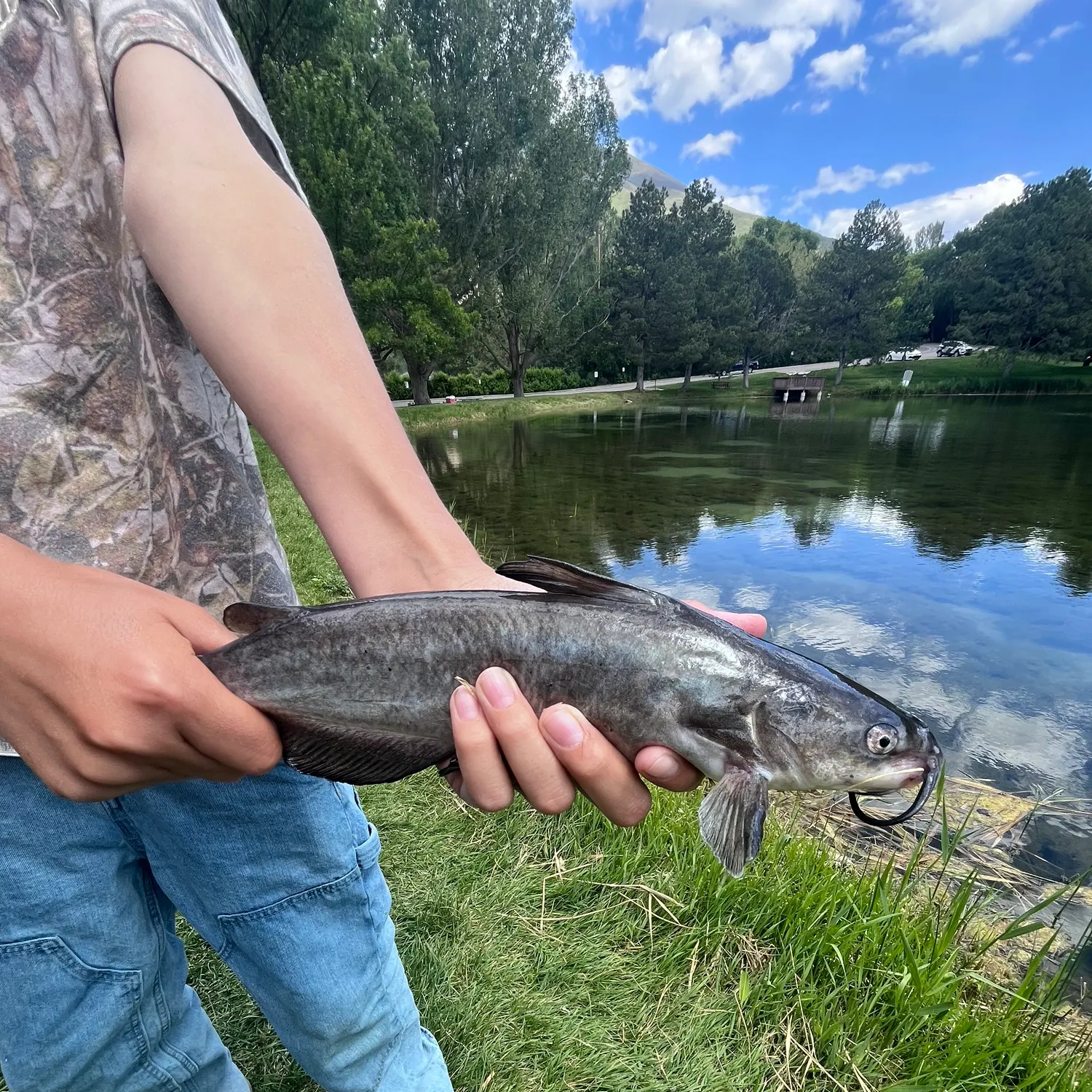 catch