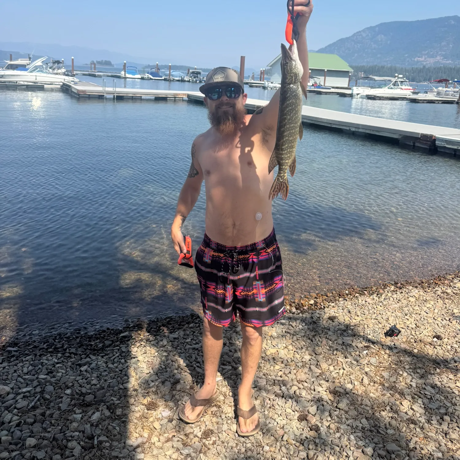 catch