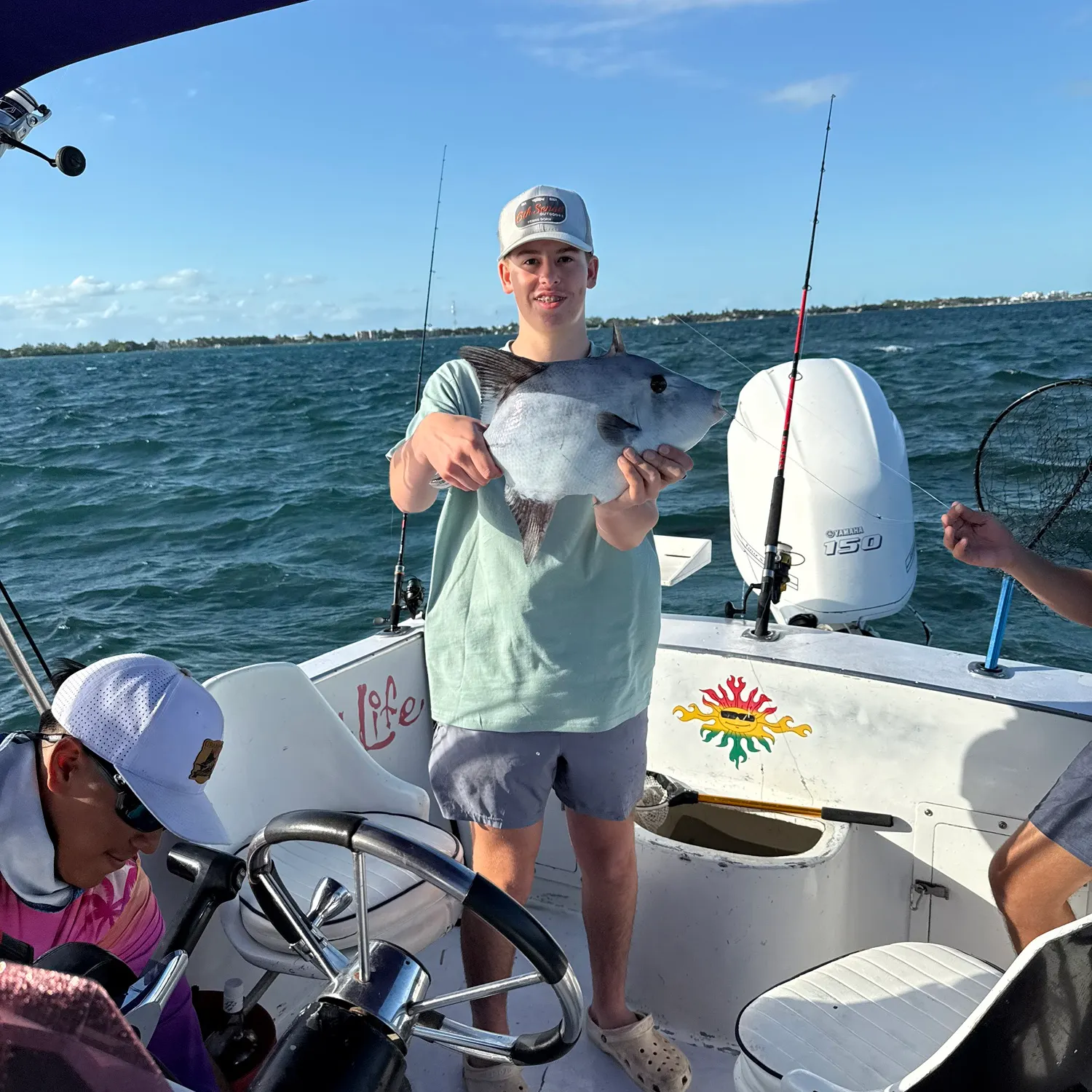 The most recent Ocean triggerfish catches on Fishbrain
