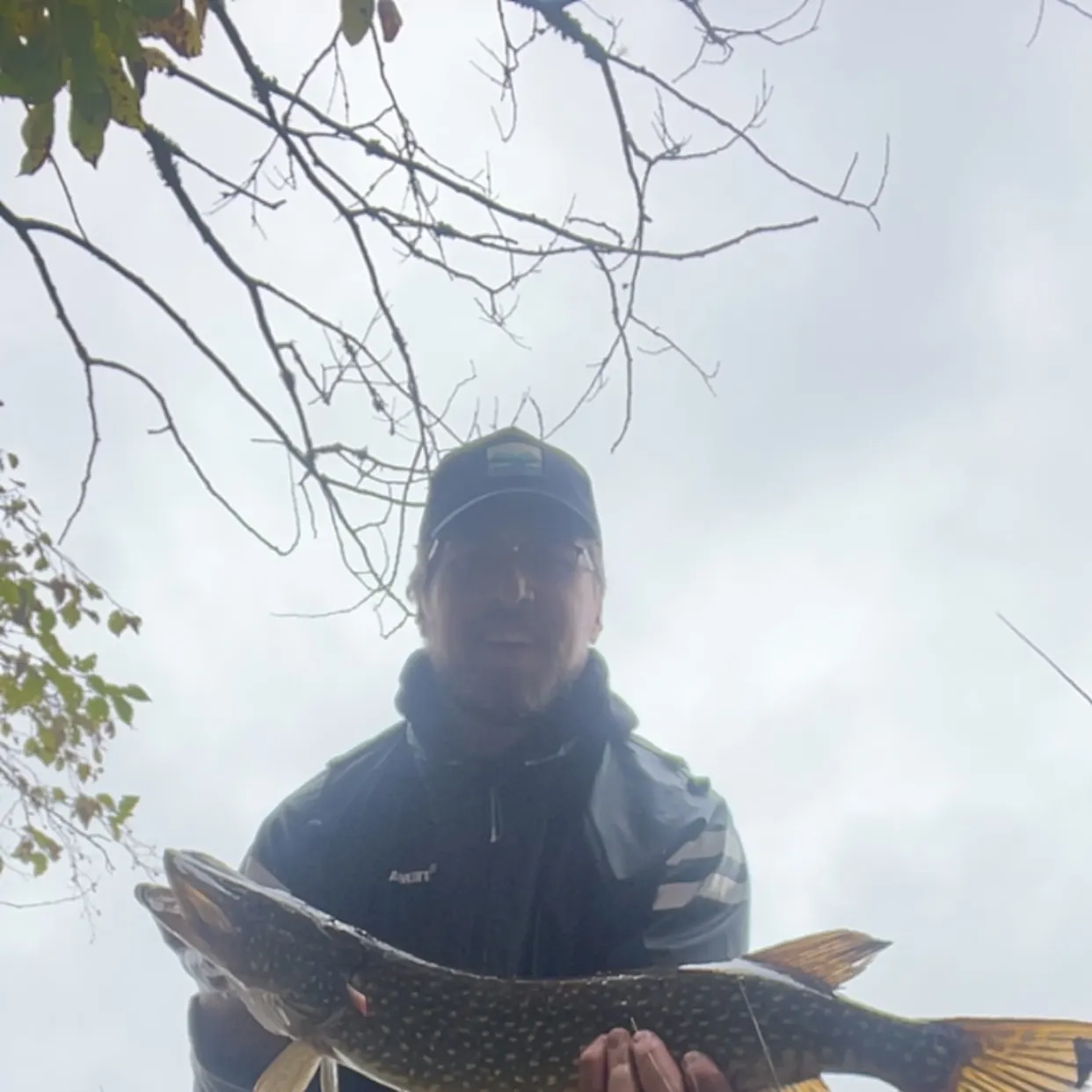 Northern pike caught on Fishbrain