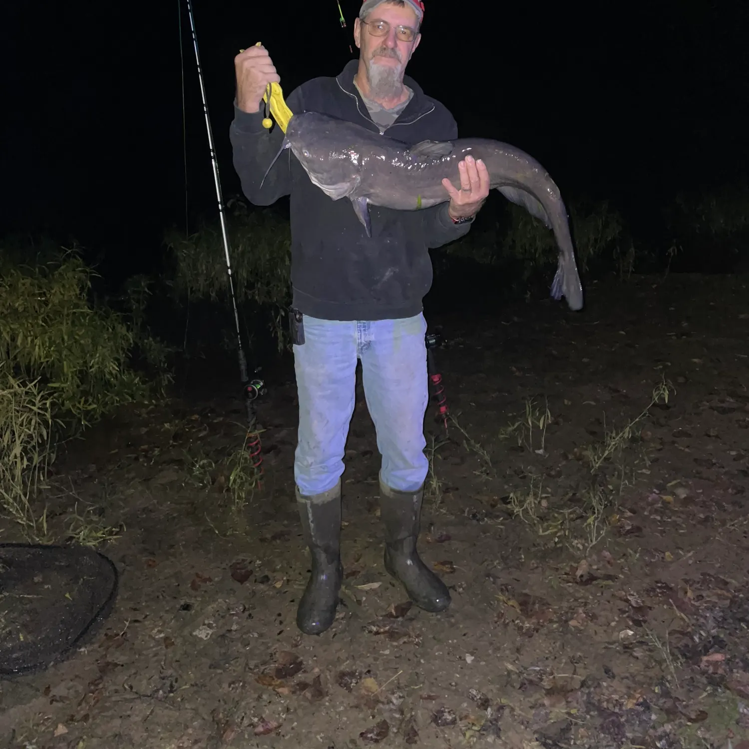 Blue catfish caught on Fishbrain