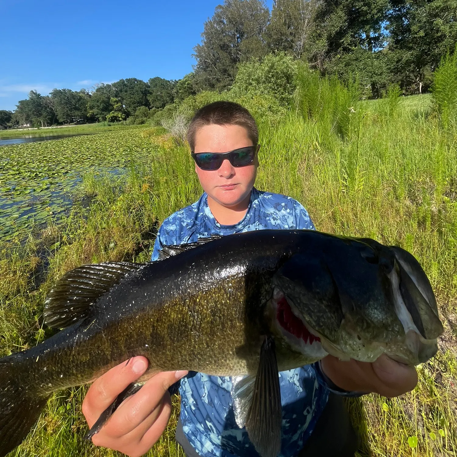 Largemouth bass caught on Fishbrain