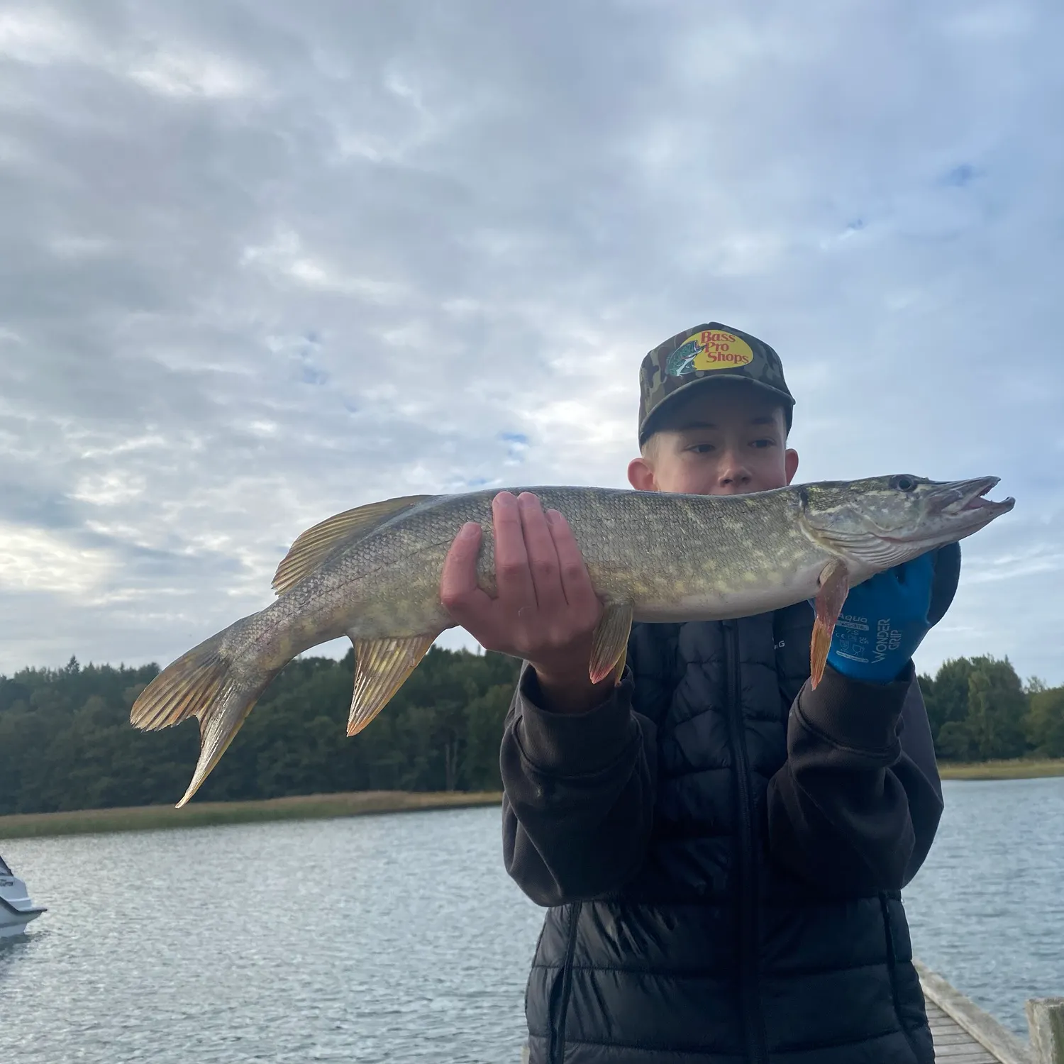 Northern pike caught on Fishbrain