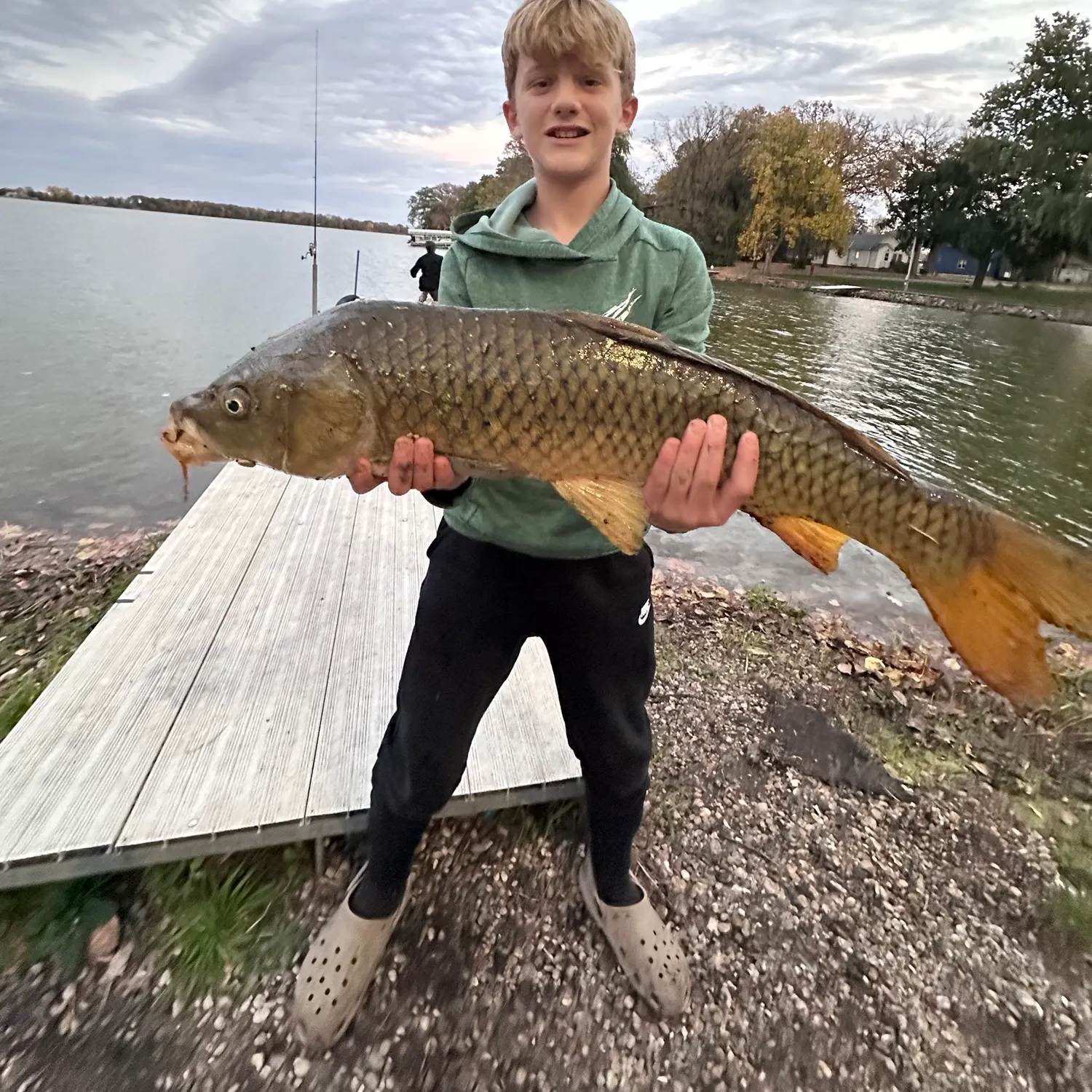Common carp caught on Fishbrain