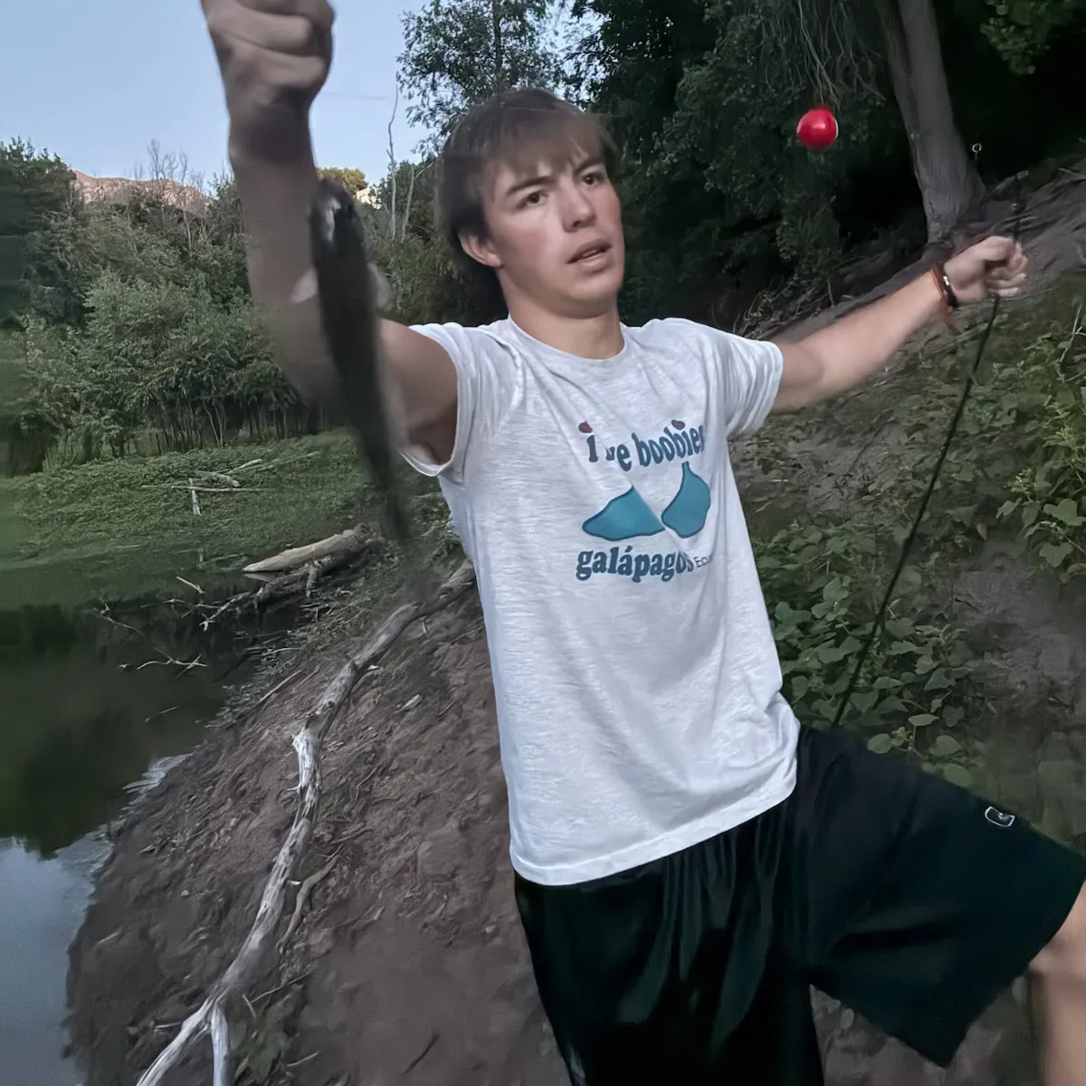 Rainbow trout caught on Fishbrain