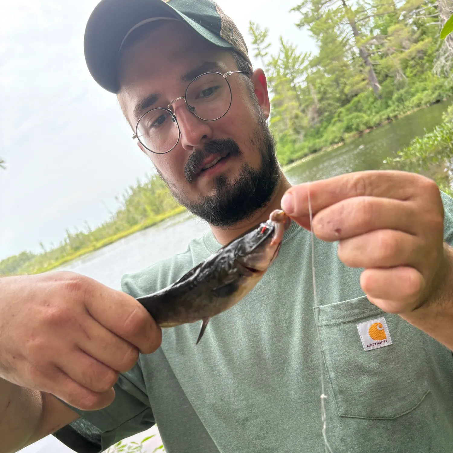 Black bullhead caught on Fishbrain