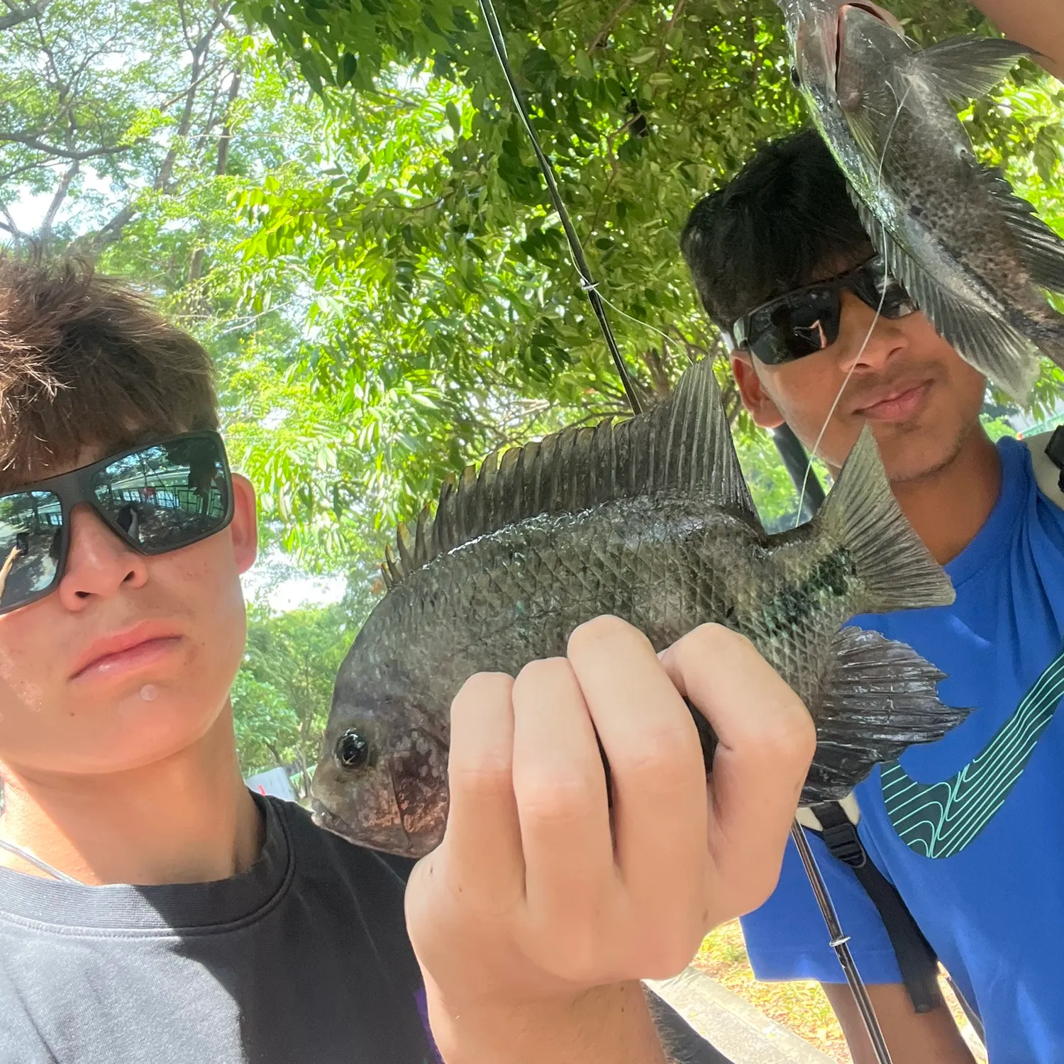 catch