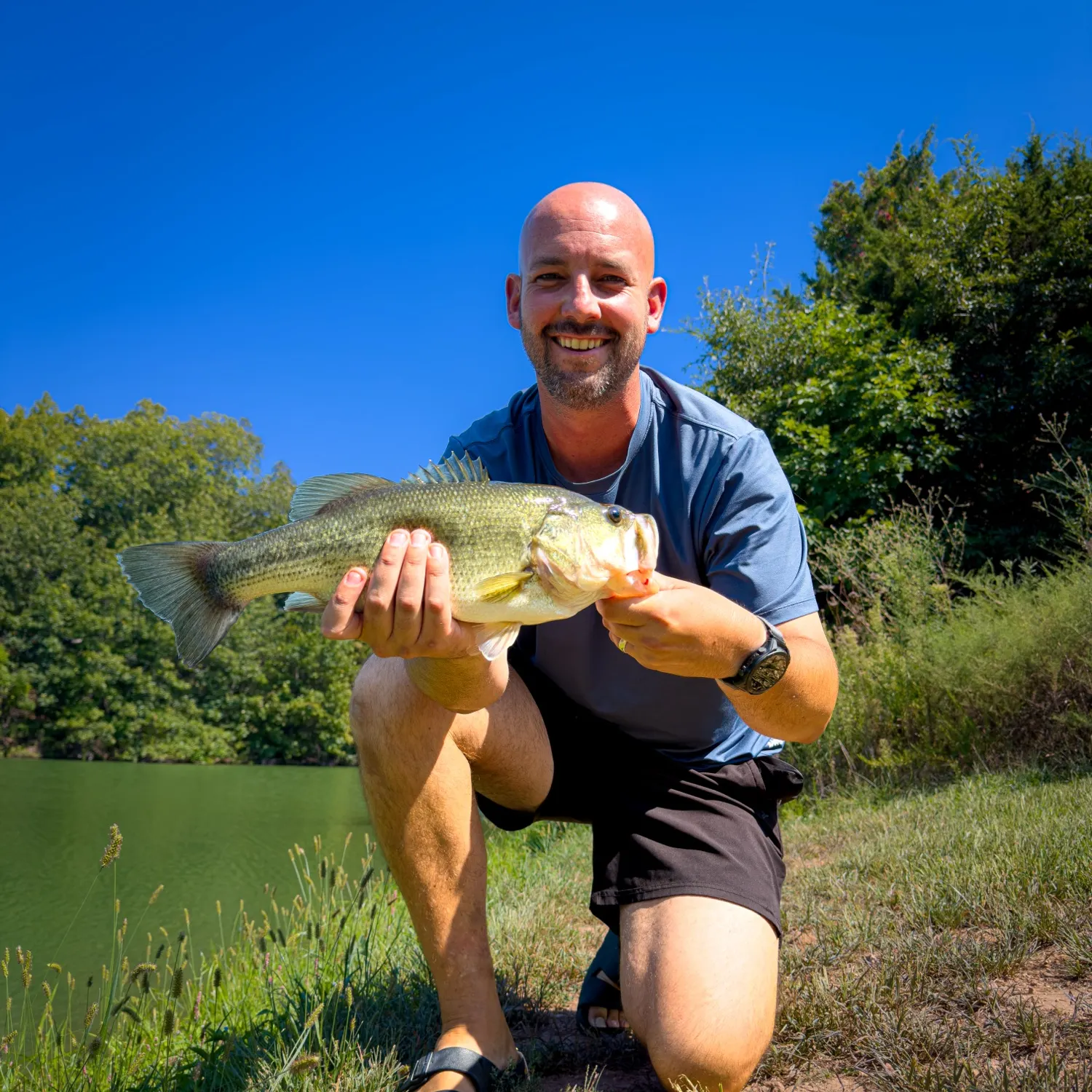Largemouth bass caught on Fishbrain