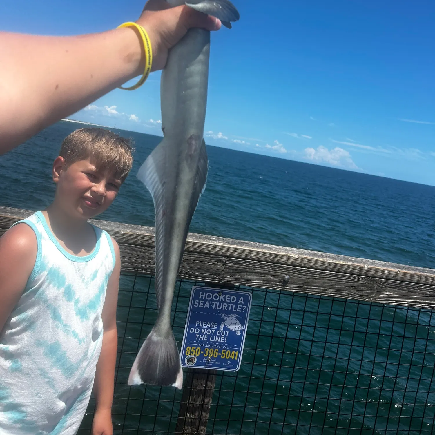 The most recent Live sharksucker catches on Fishbrain