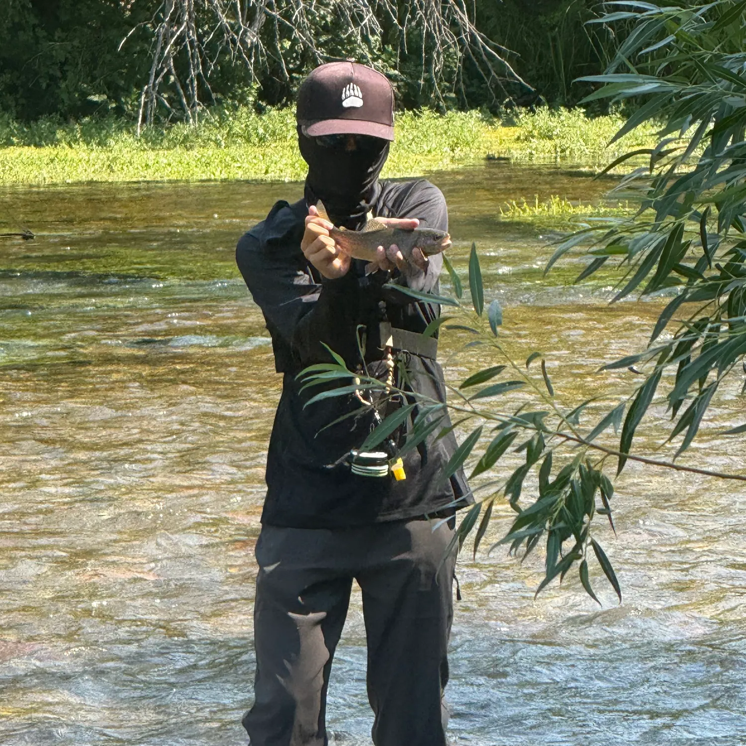 The most recent Cutbow catches on Fishbrain