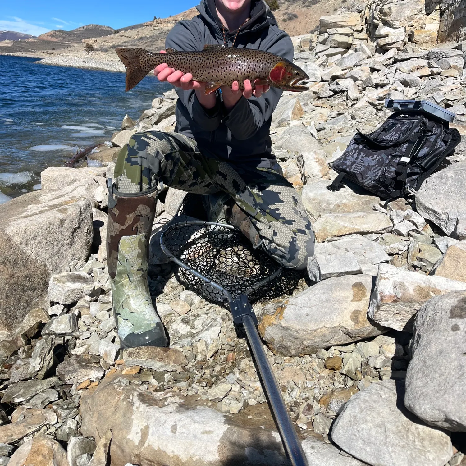 The most recent Bonneville cutthroat trout catches on Fishbrain