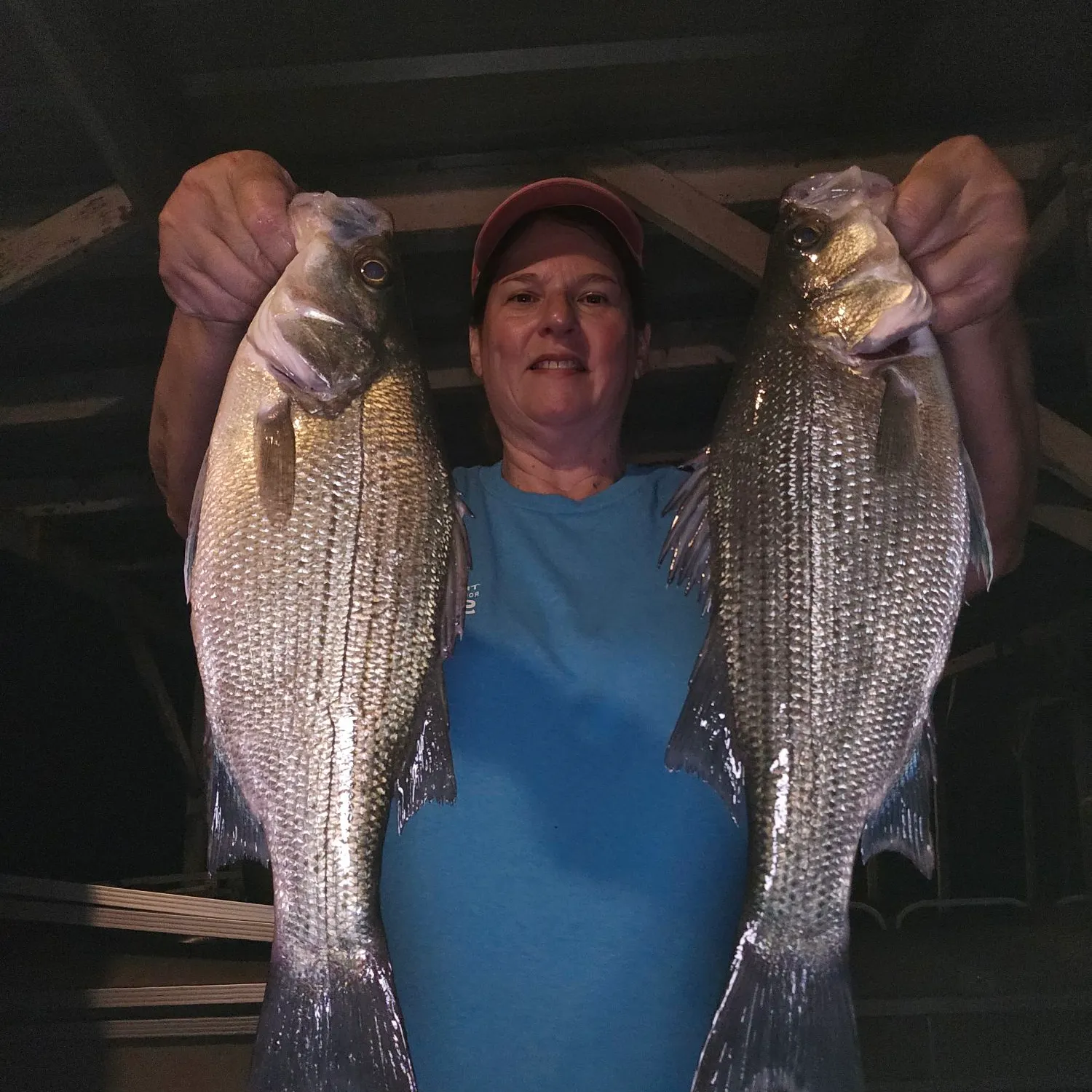 White bass caught on Fishbrain