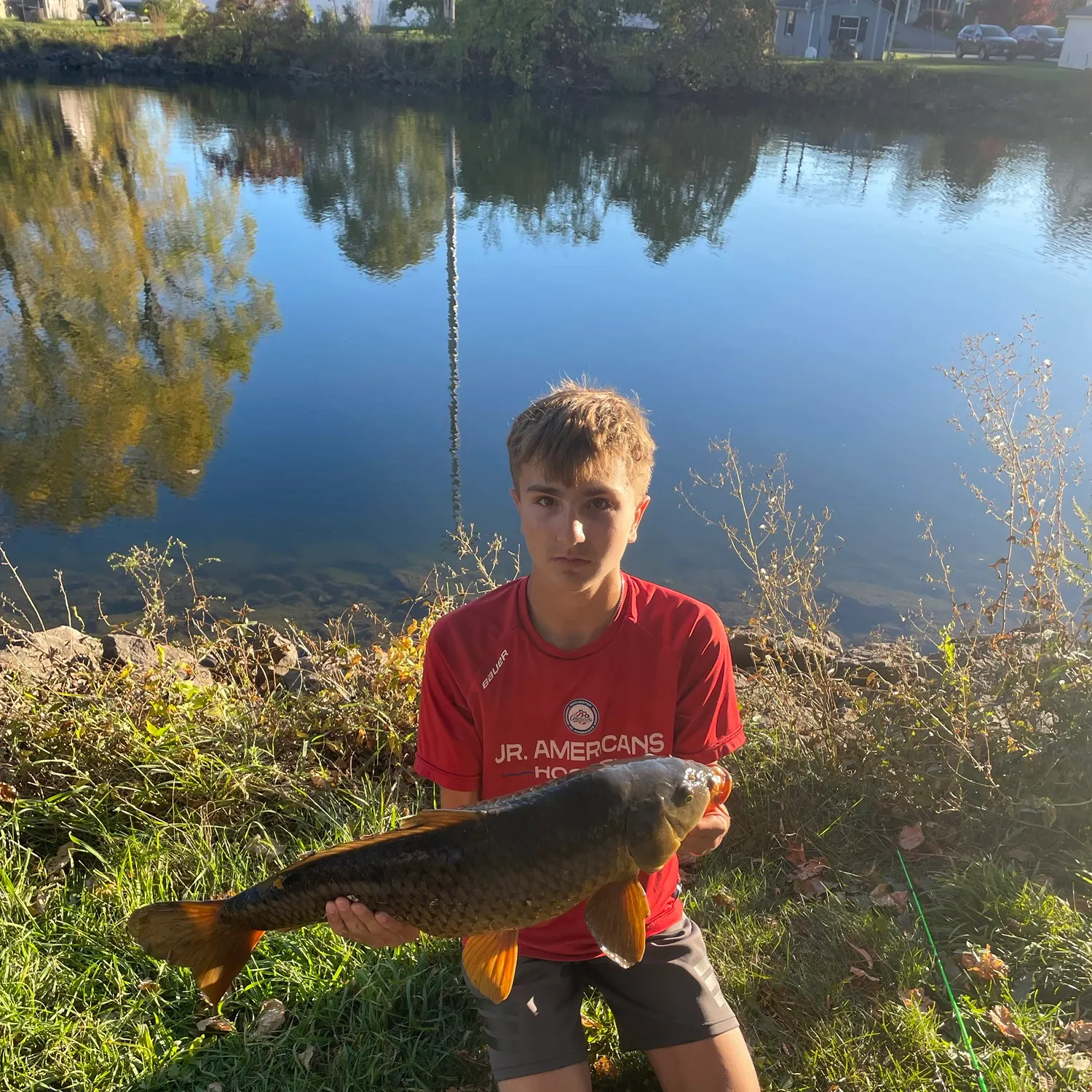 Common carp caught on Fishbrain
