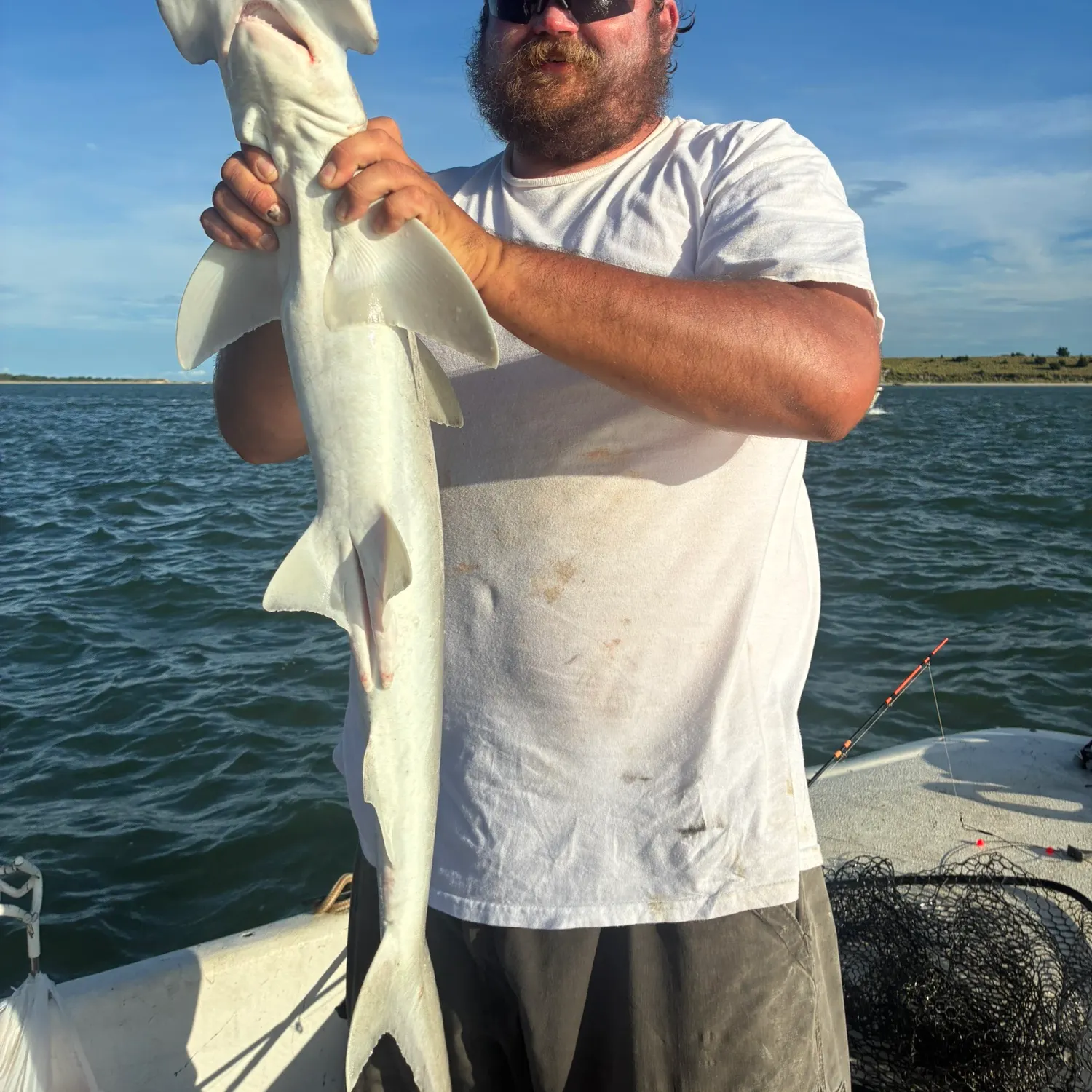 Bonnethead shark caught on Fishbrain