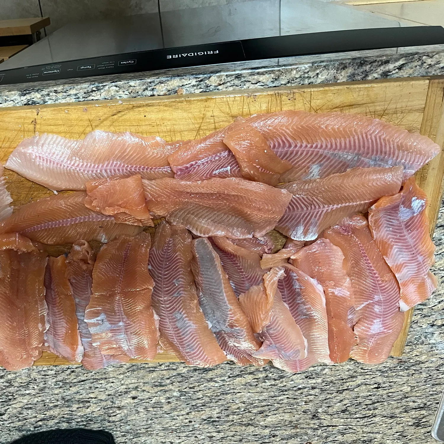 recently logged catches