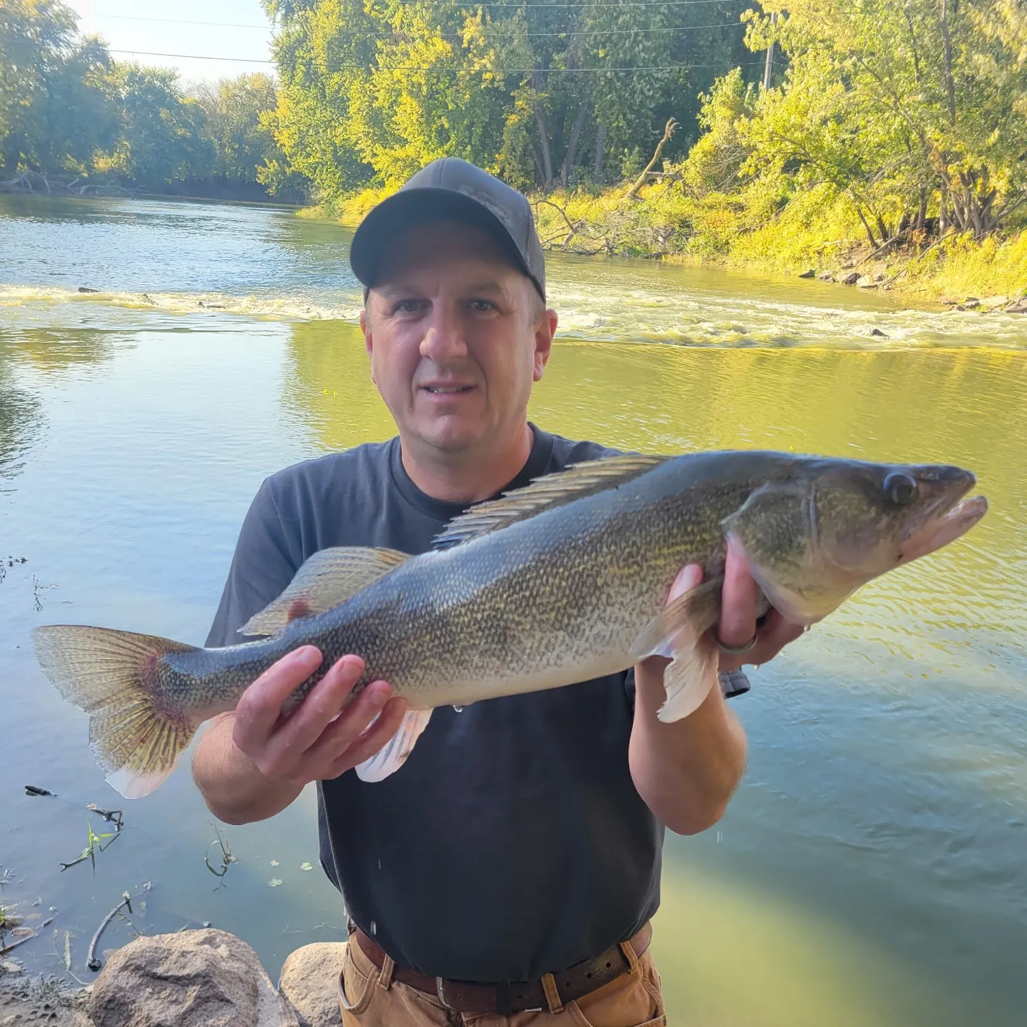 Walleye caught on Fishbrain