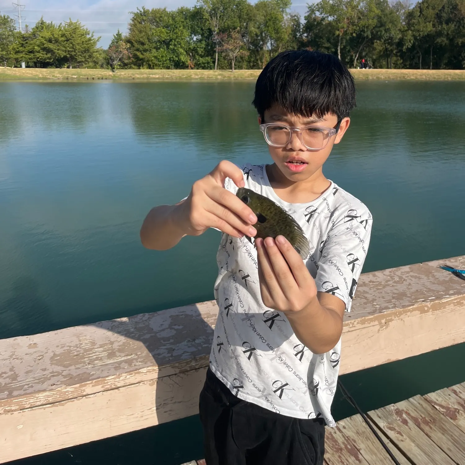 Bluegill caught on Fishbrain