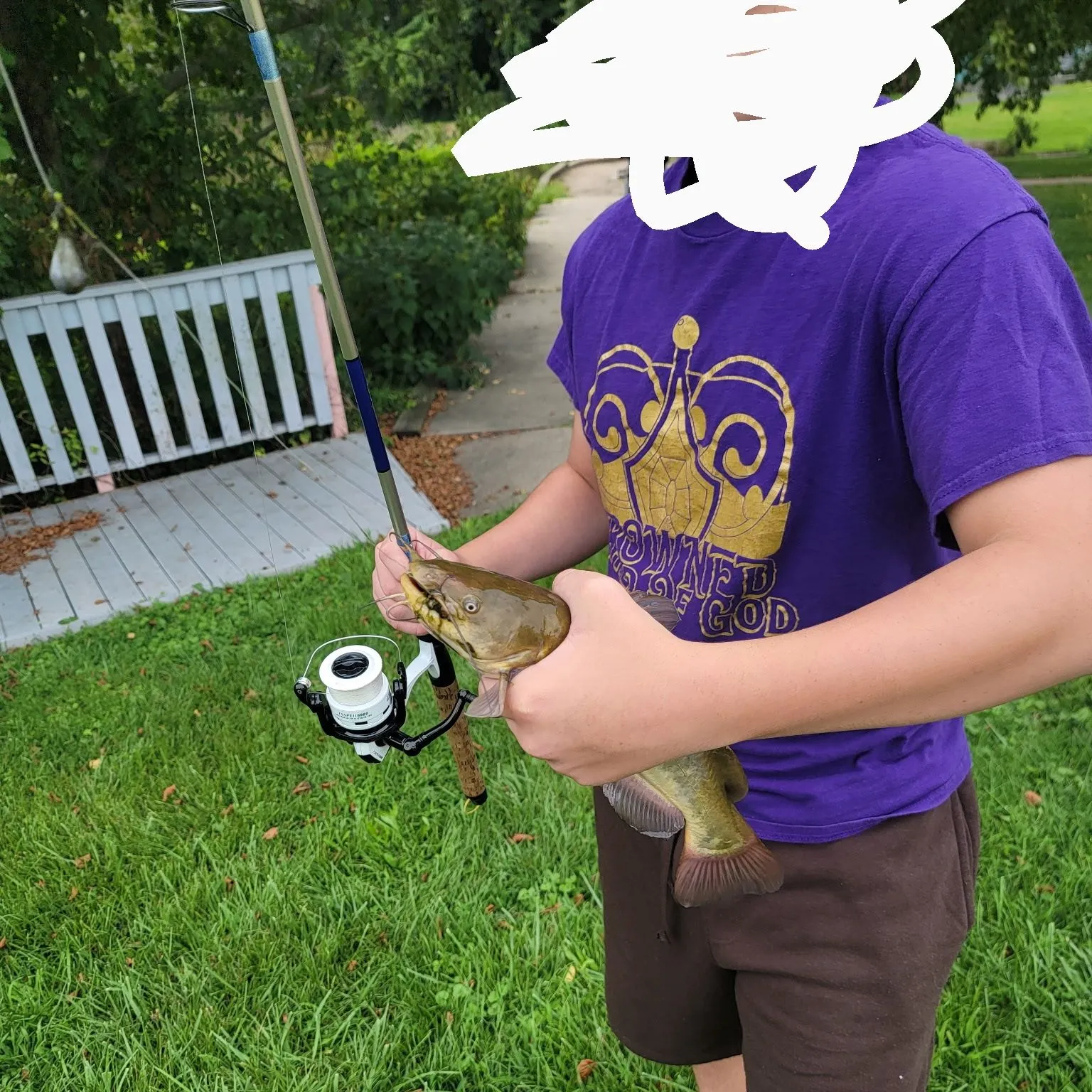 Yellow bullhead caught on Fishbrain