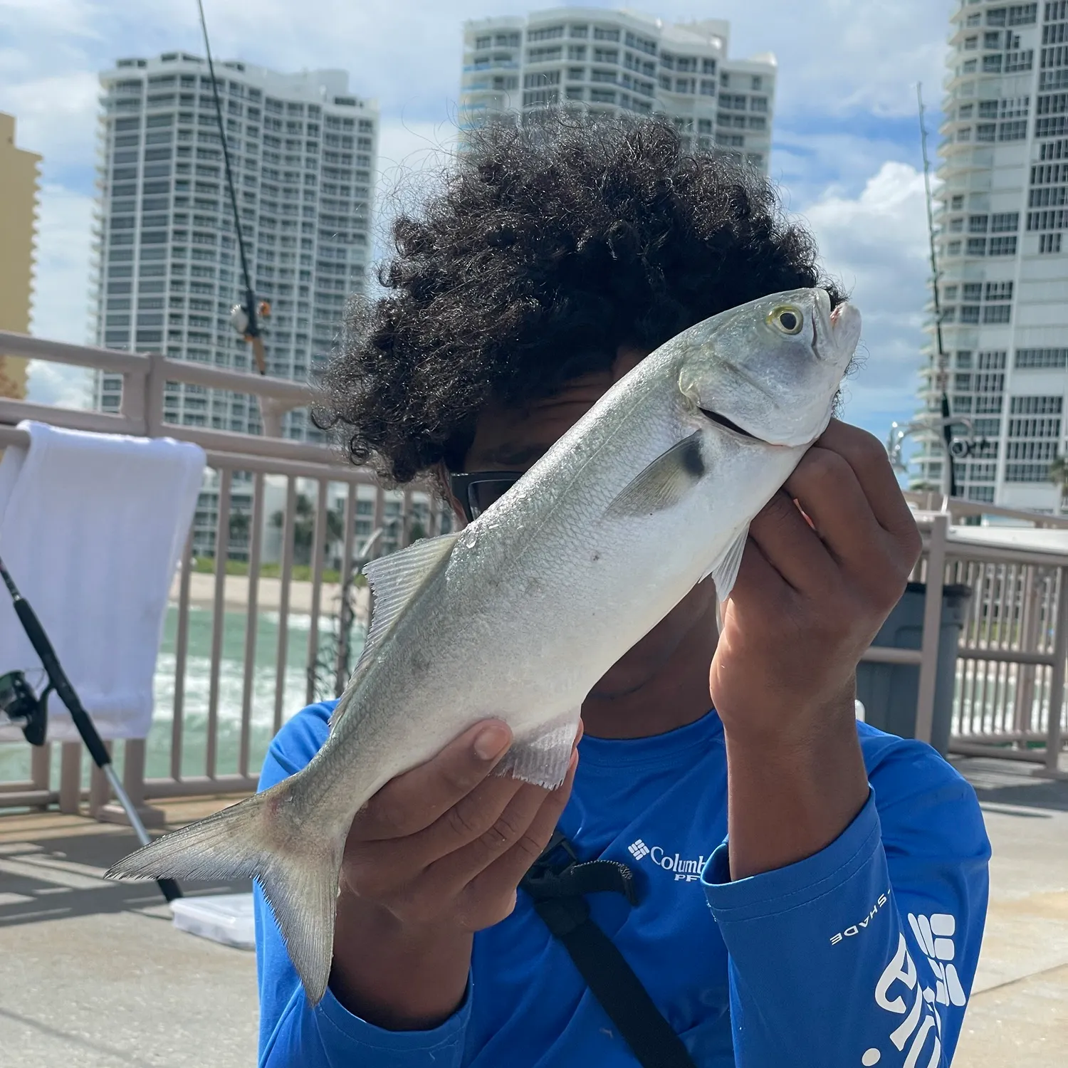 Bluefish caught on Fishbrain