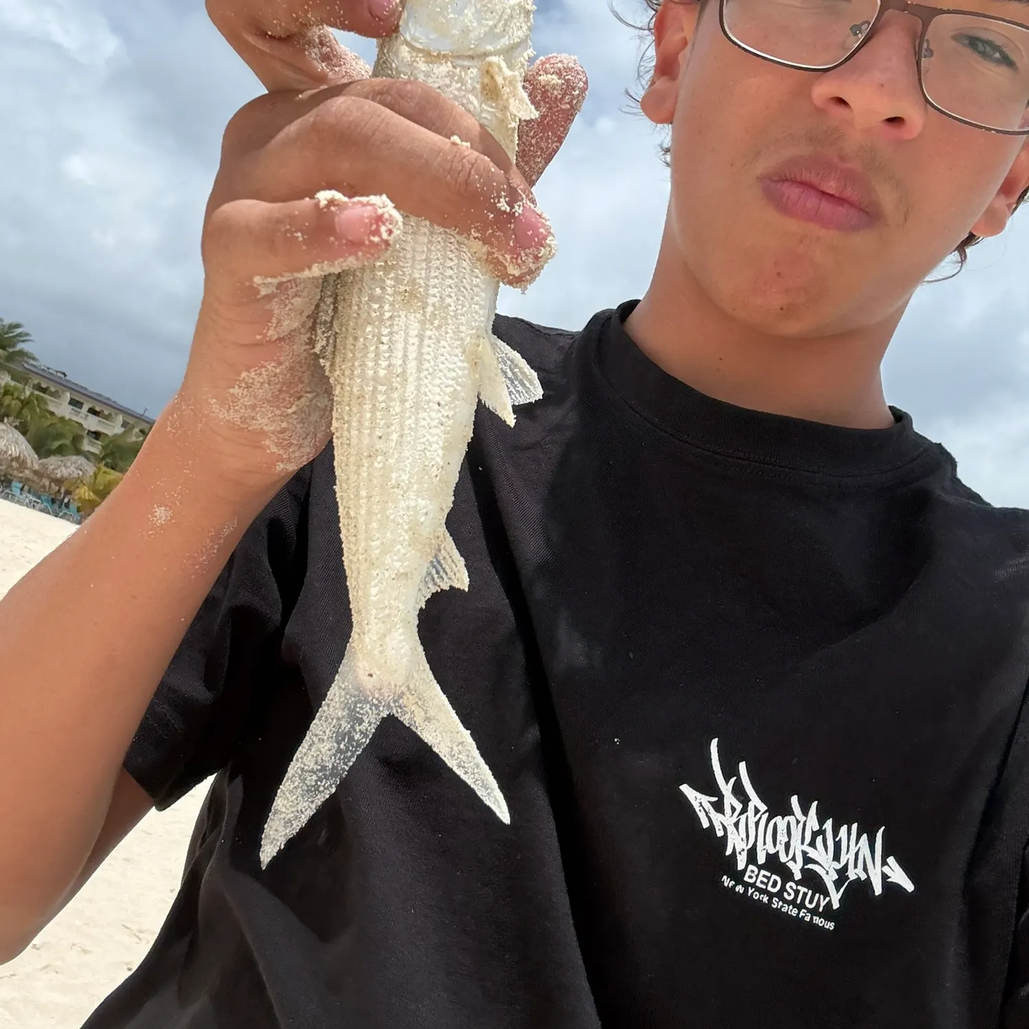 The most recent West Atlantic bonefish catches on Fishbrain